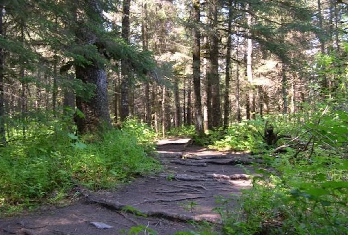 When I Still Want My Own Way