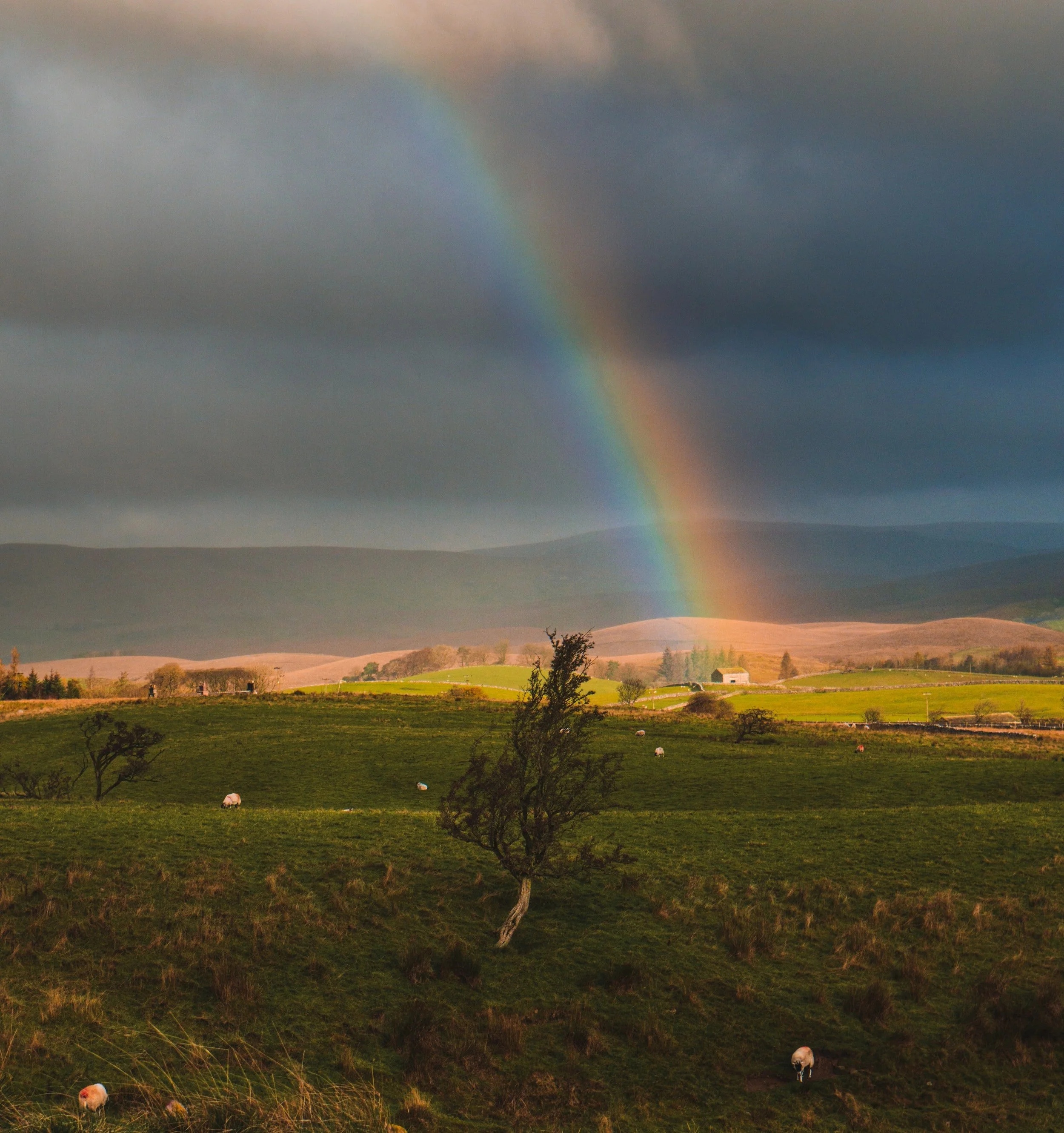 Turning Scripture into Blessing