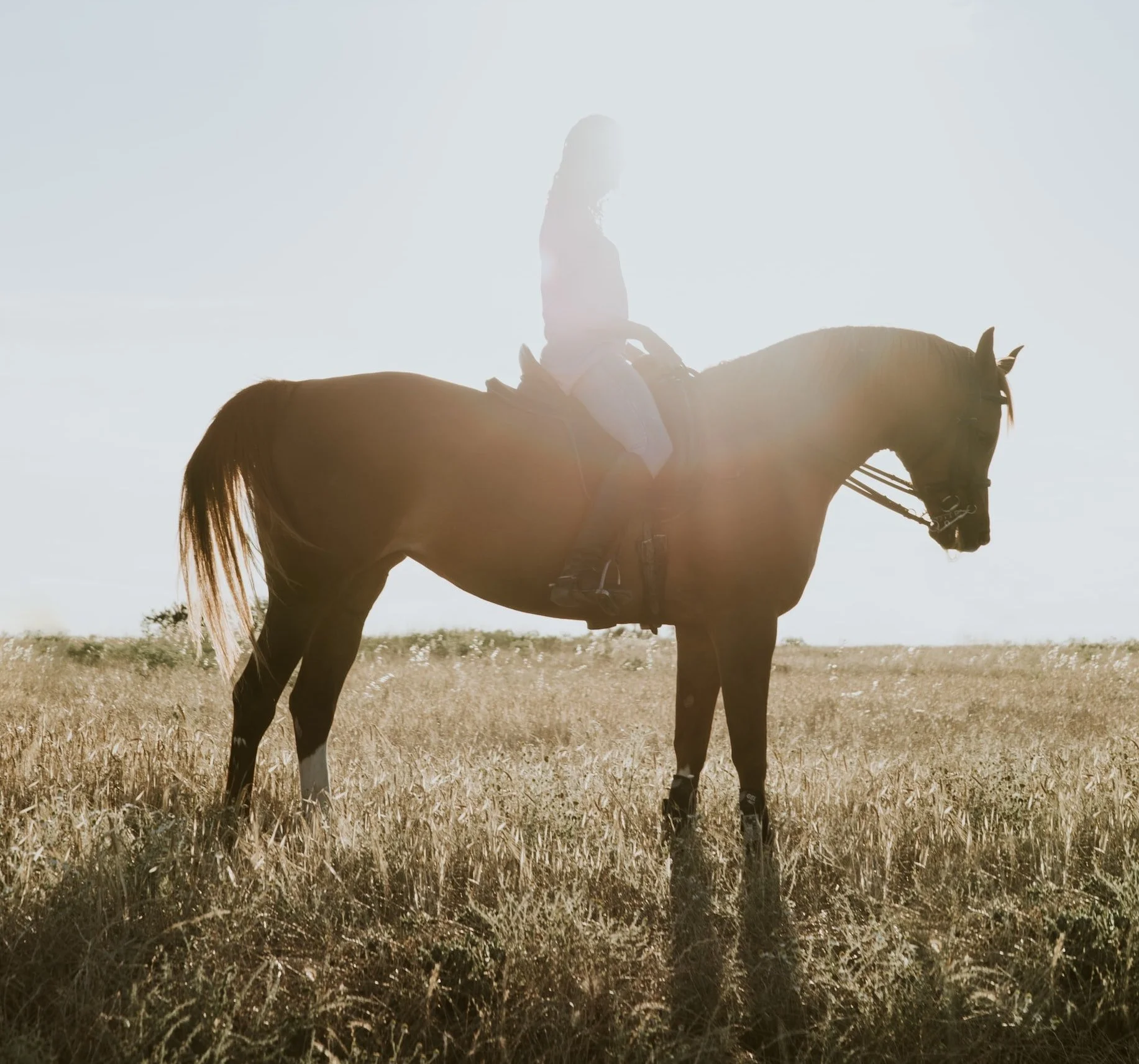 Riding a Horse and Knowing God 