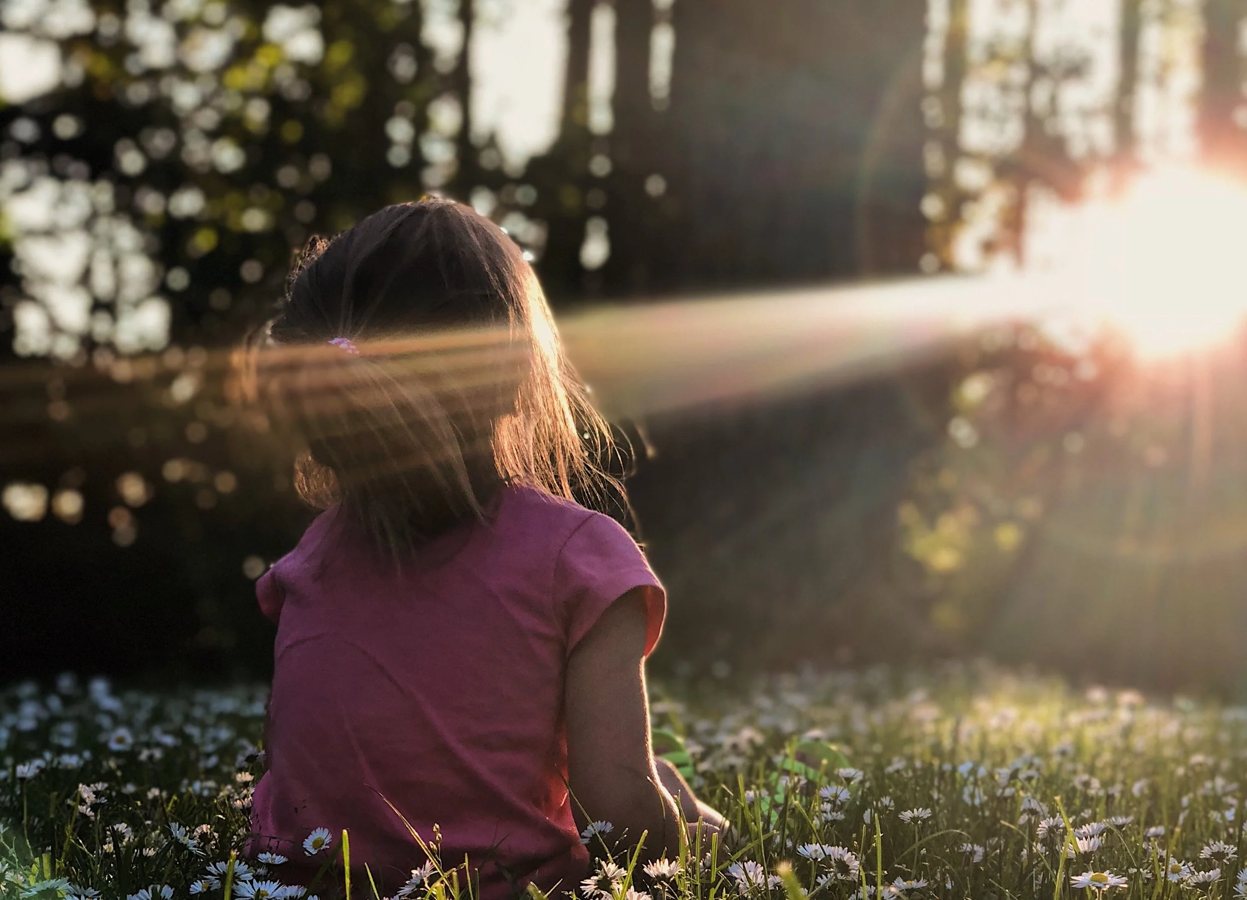 Joy in the Hard Journey: For When You Love a Prodigal or Any Hard Reality