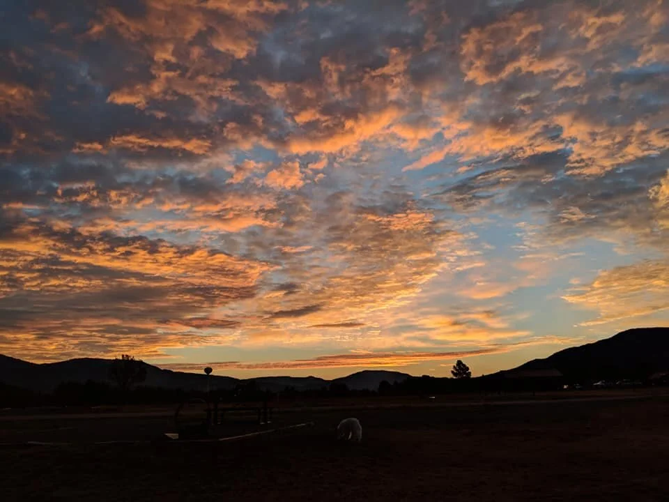 Anticipating Easter: Awaiting Transformation