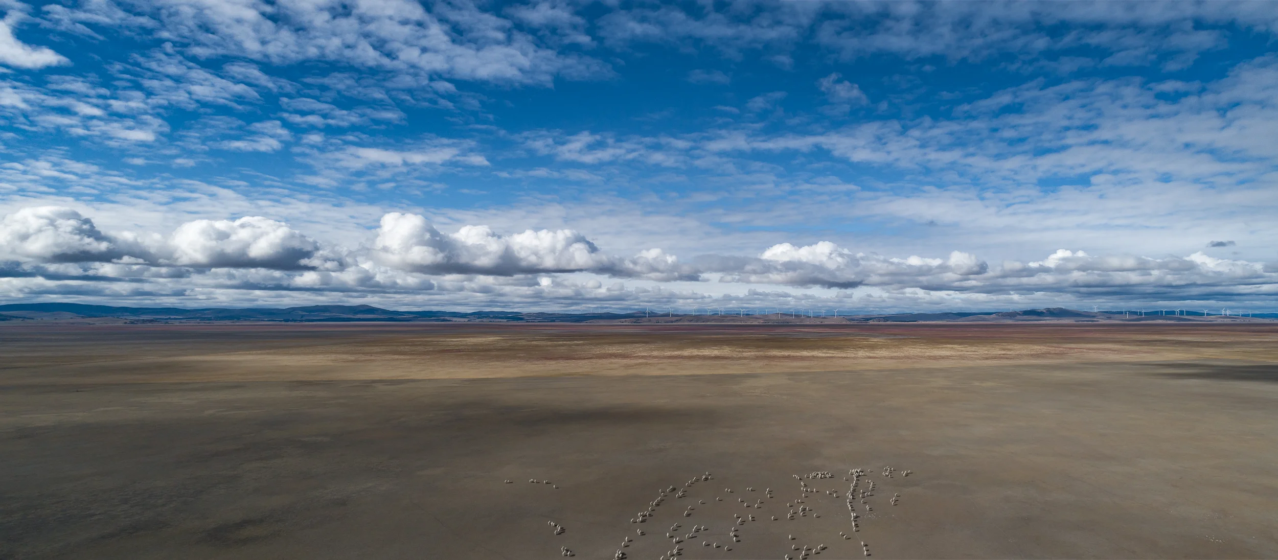 DJI_0049-Pano.jpg