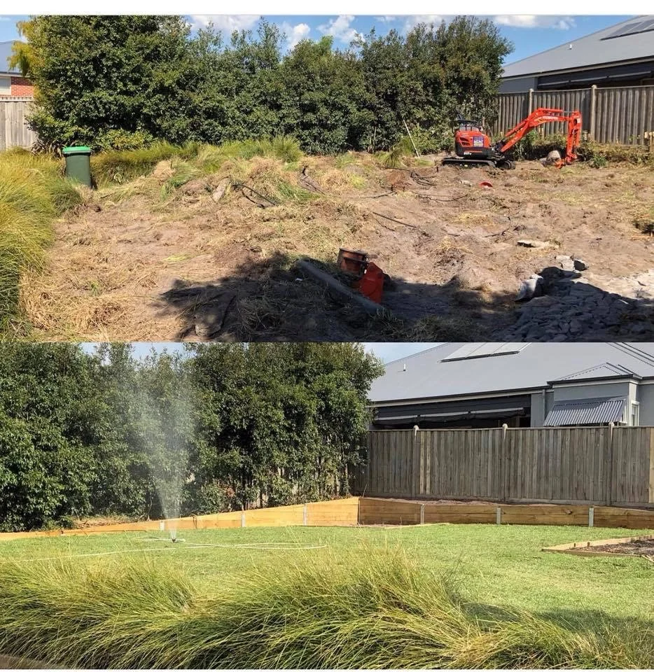 Garden transformation.jpg
