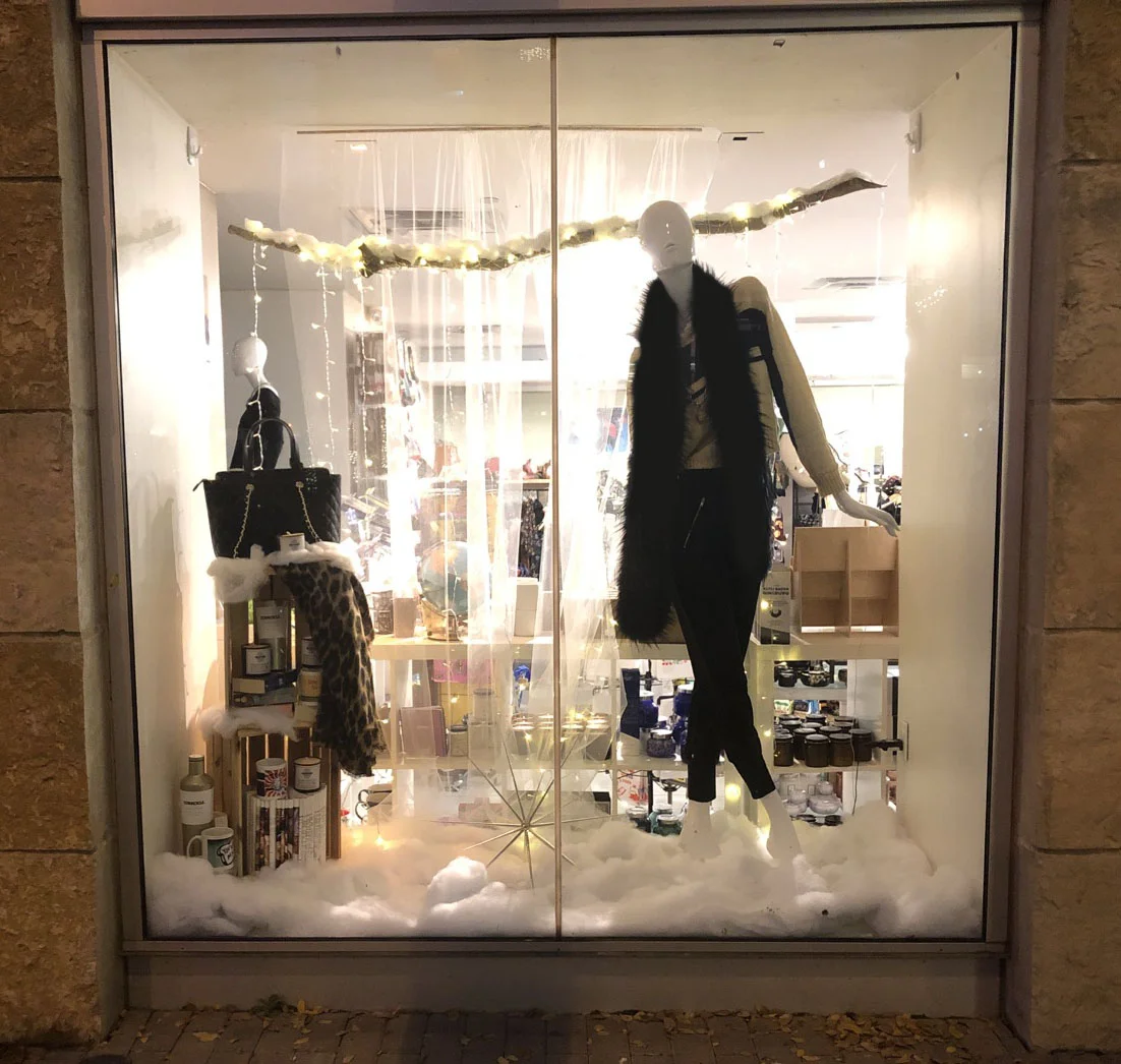 Winter Themed Window Photo by Lucinda Culver, 2017