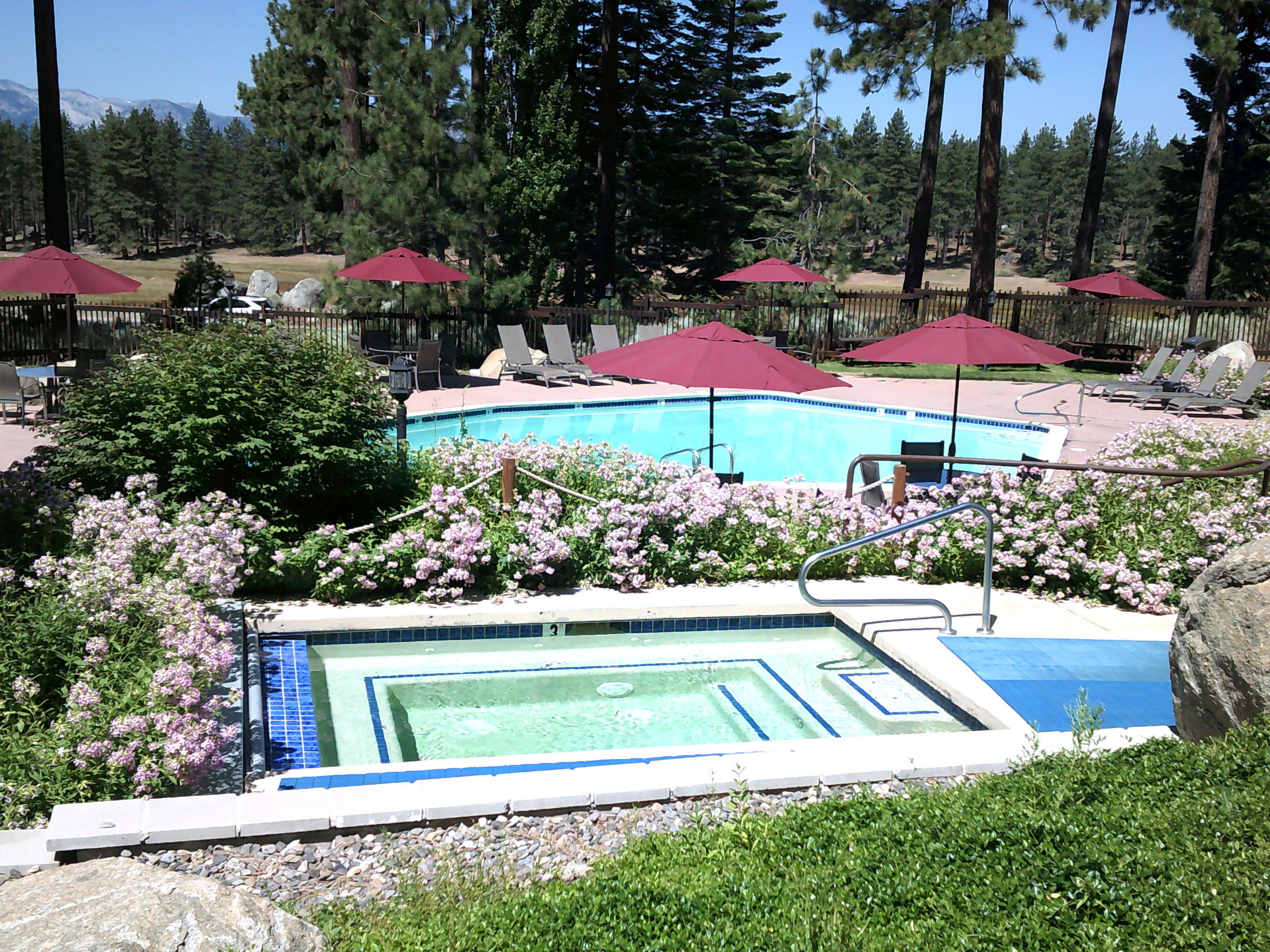 Pool and hot tub