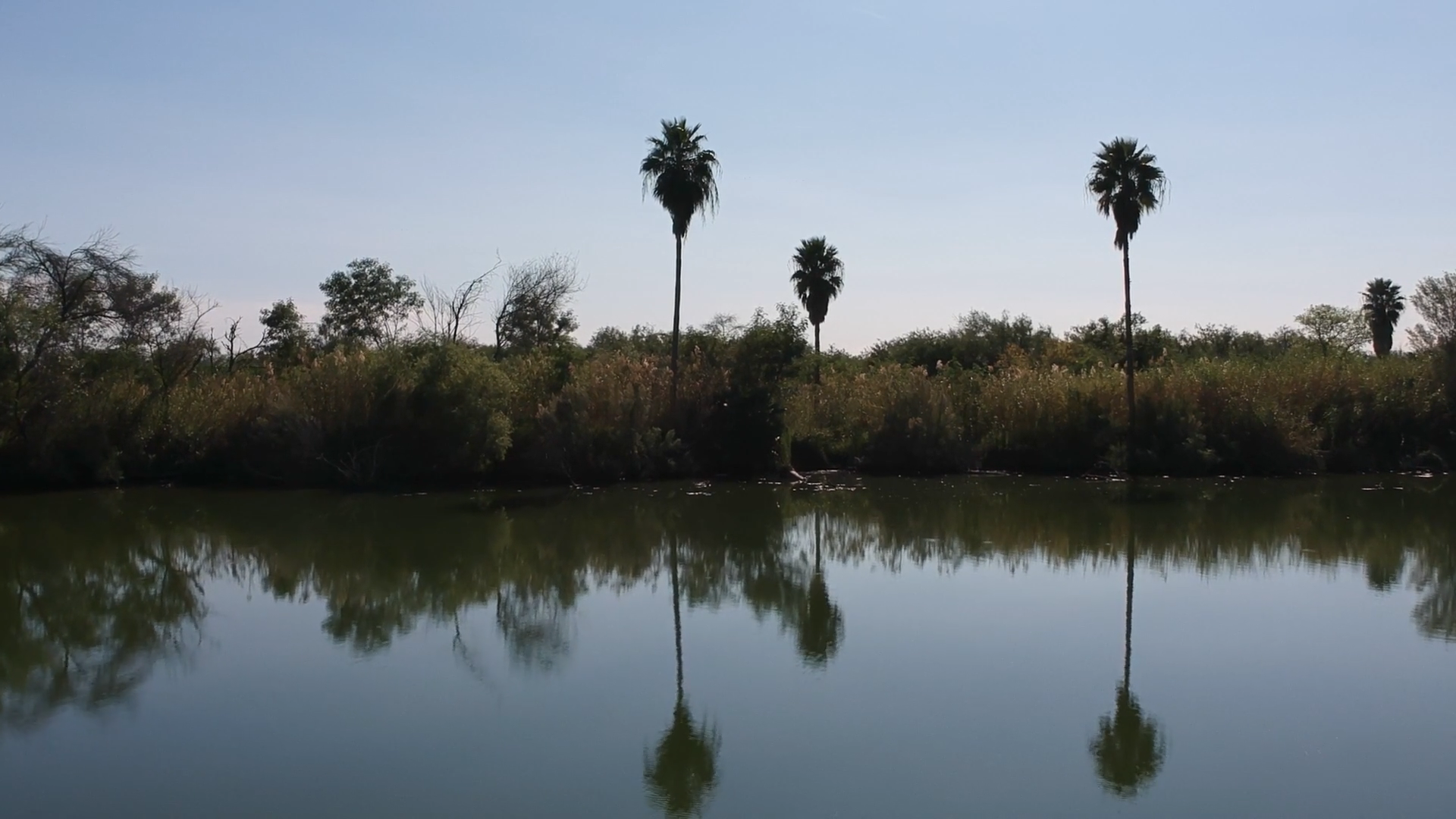 Screen Shot 2020-08-15 at 6.37.57 PM.png