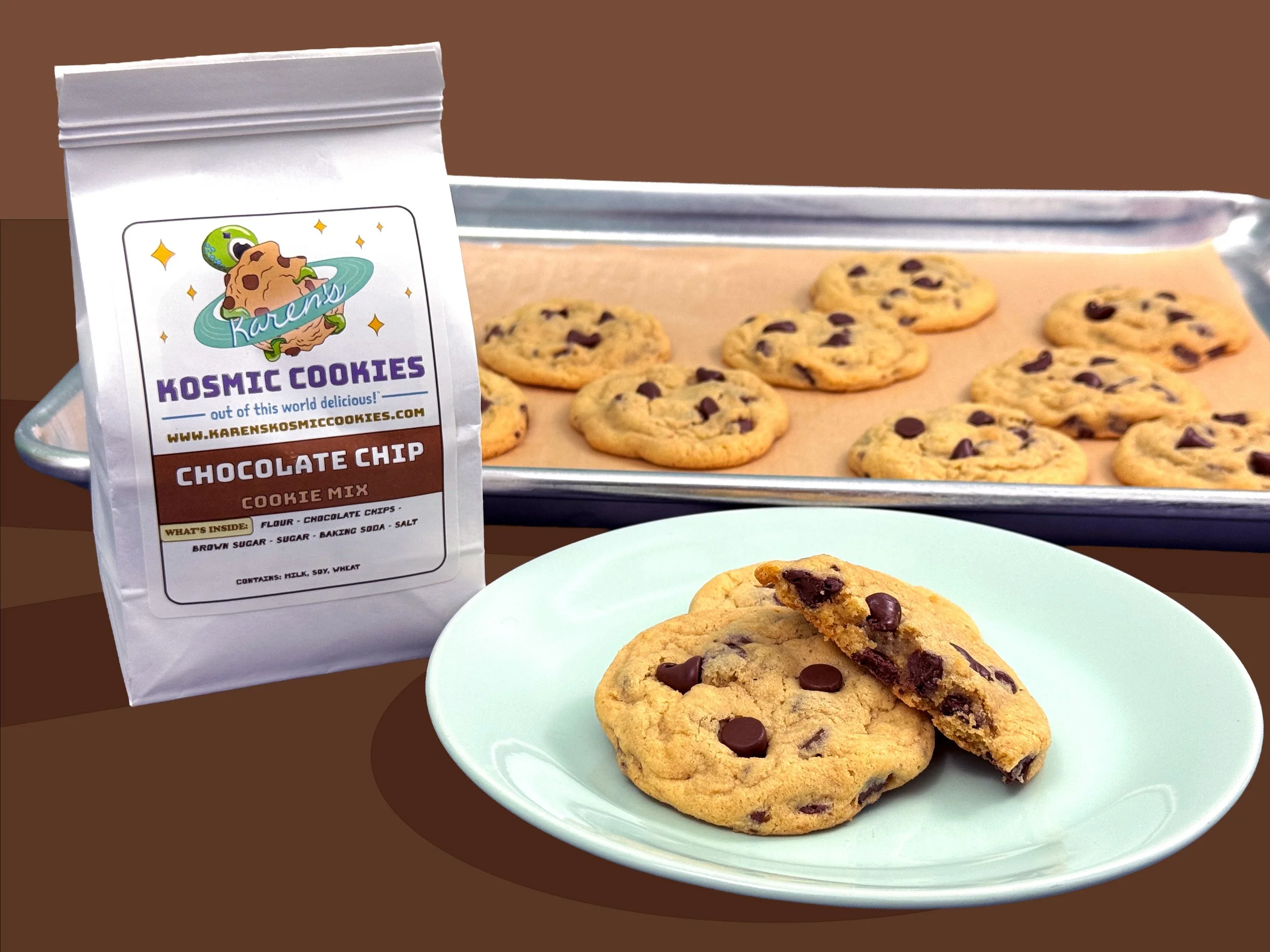 Chocolate Chip_main.jpg (Copy)