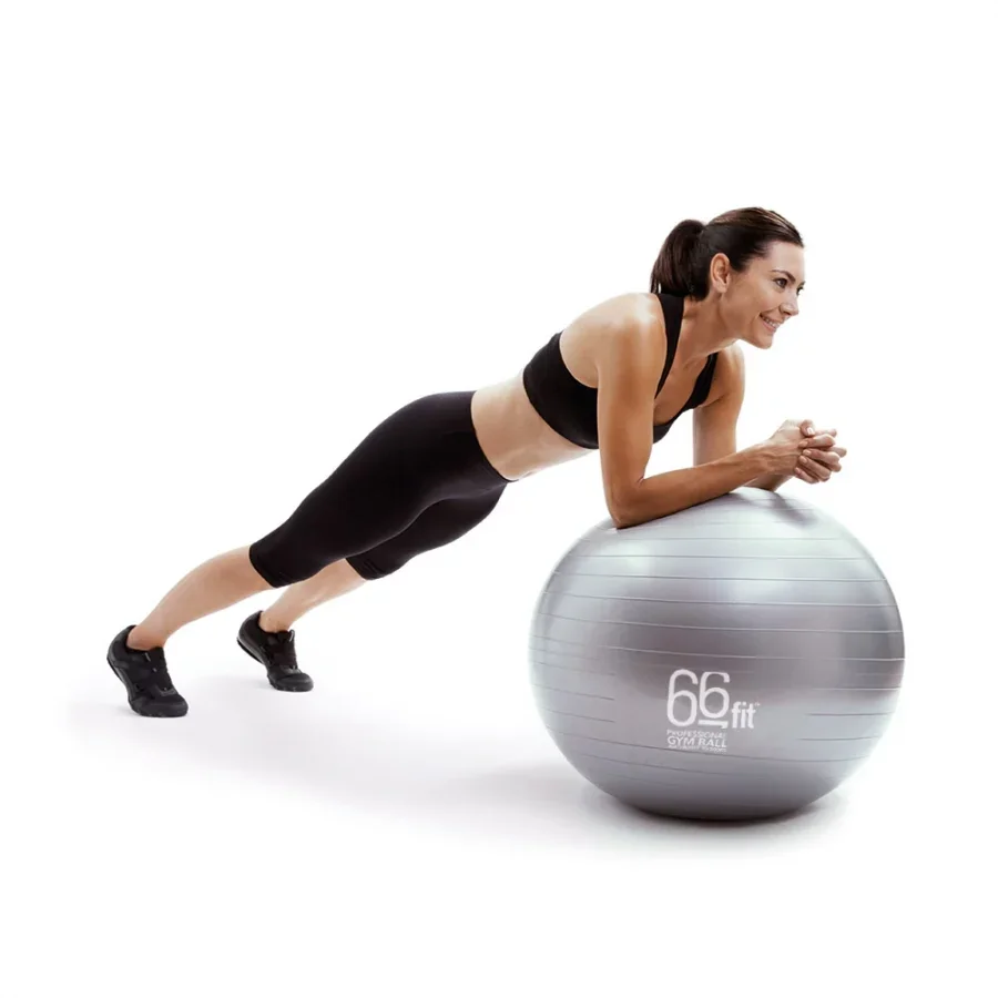 Pro Stability Exercise Ball