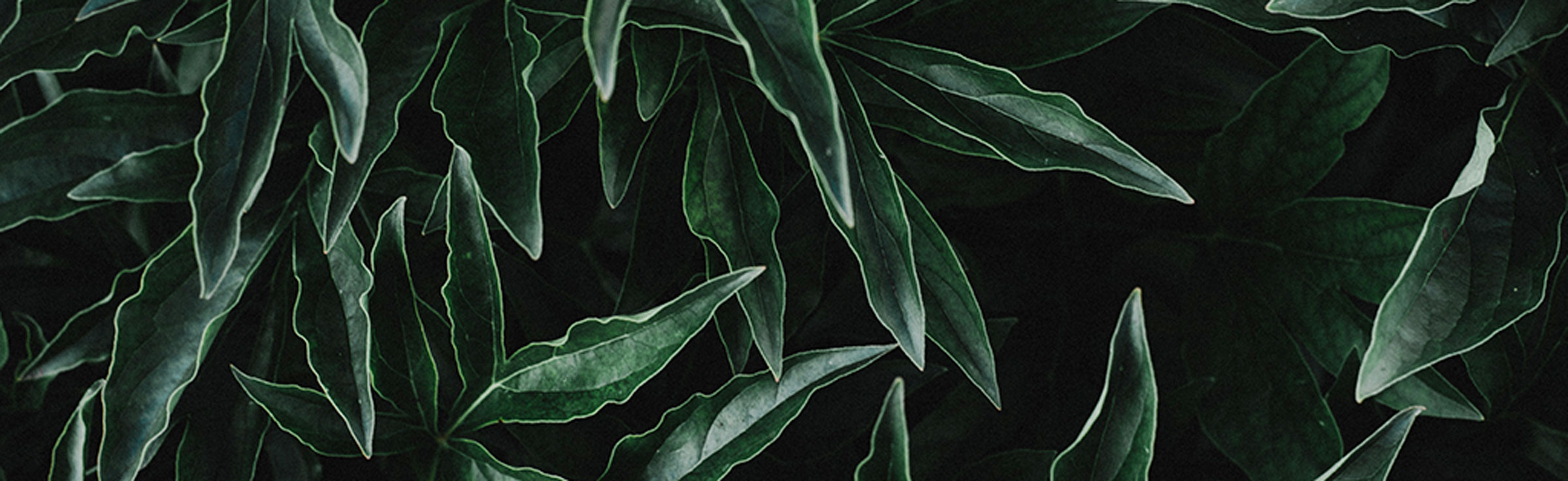 Sustainable-Events-ourwork.jpg