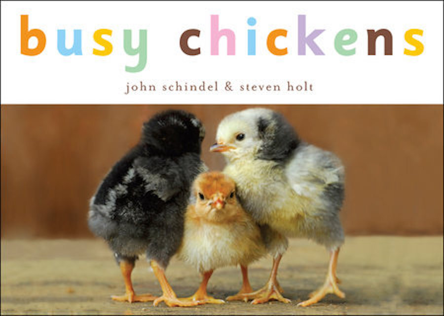 Busy Chickens.jpeg