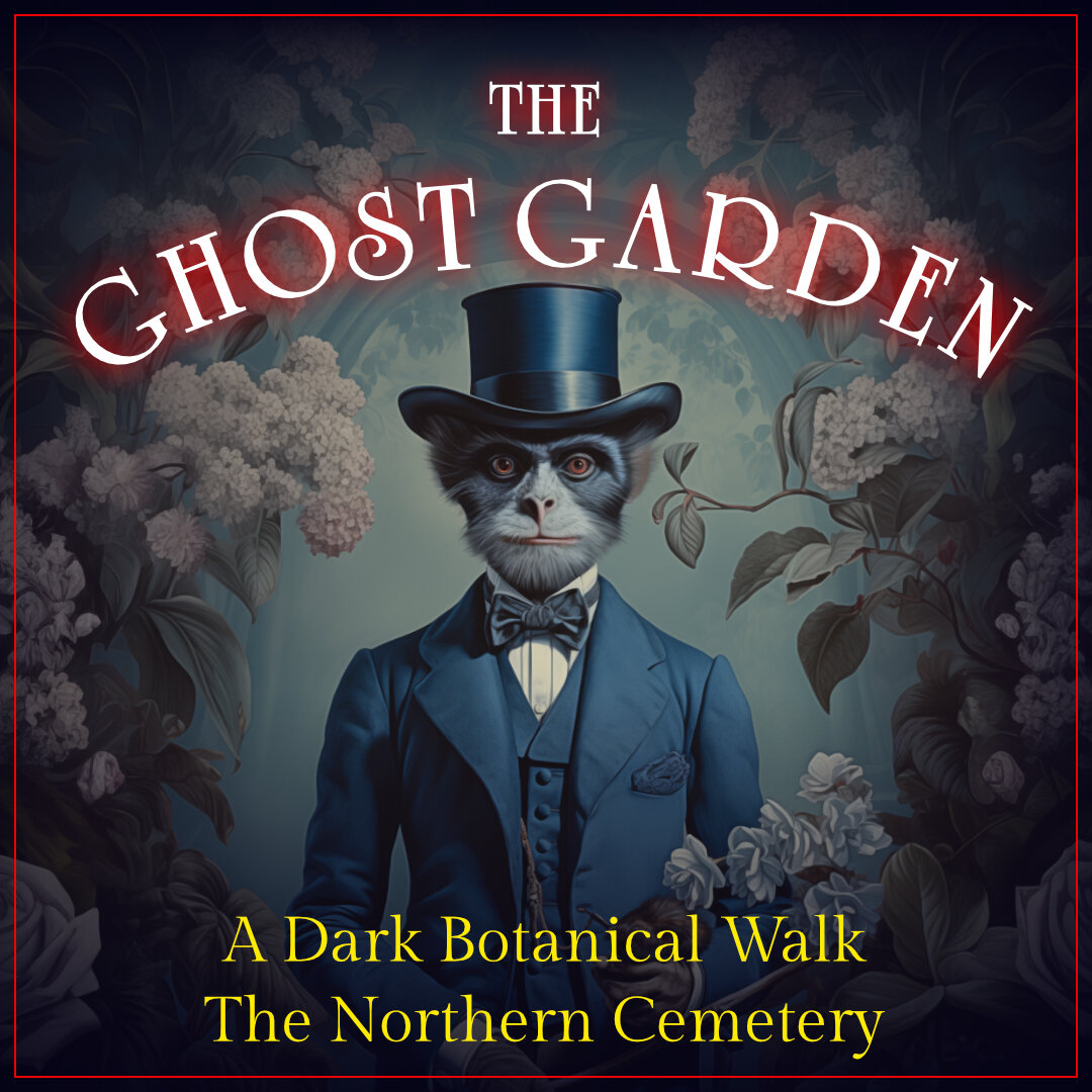A new tour addition to our Hair Raiser Tour programme!
Embark on a mystical adventure in Dunedin's Gothic Northern Cemetery! Join us as we unveil the supernatural secrets behind plantings, botanical history, and ancient Celtic beliefs. Prepare for ta