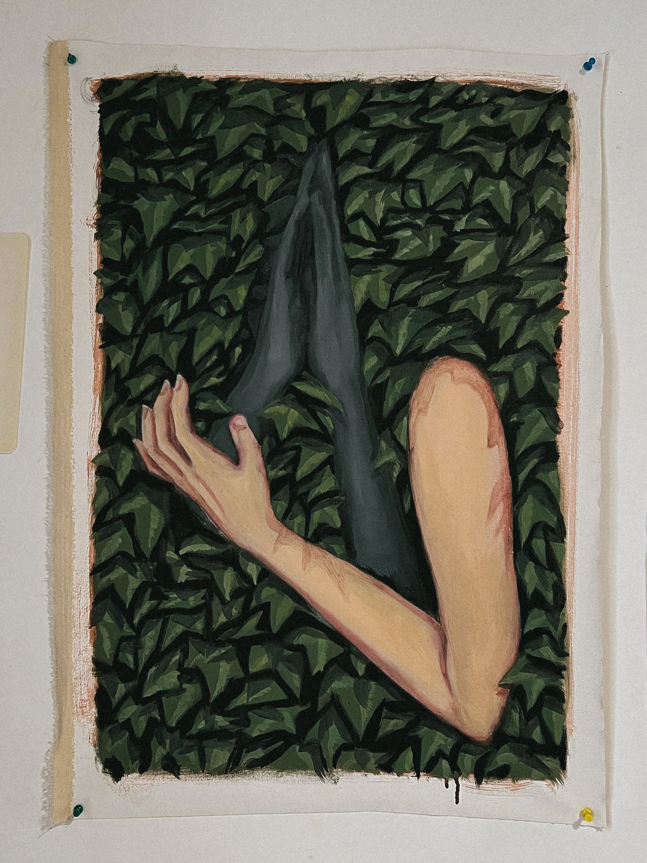 IMG_7728.png