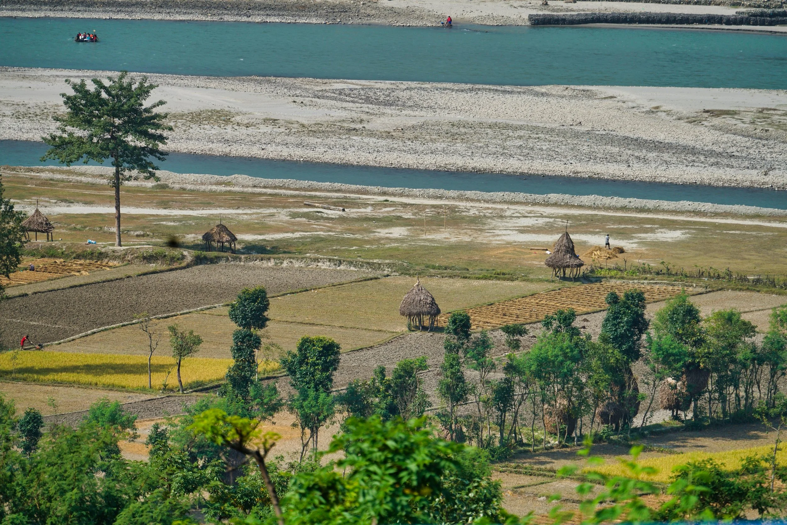 Rice Fields smaller.jpg