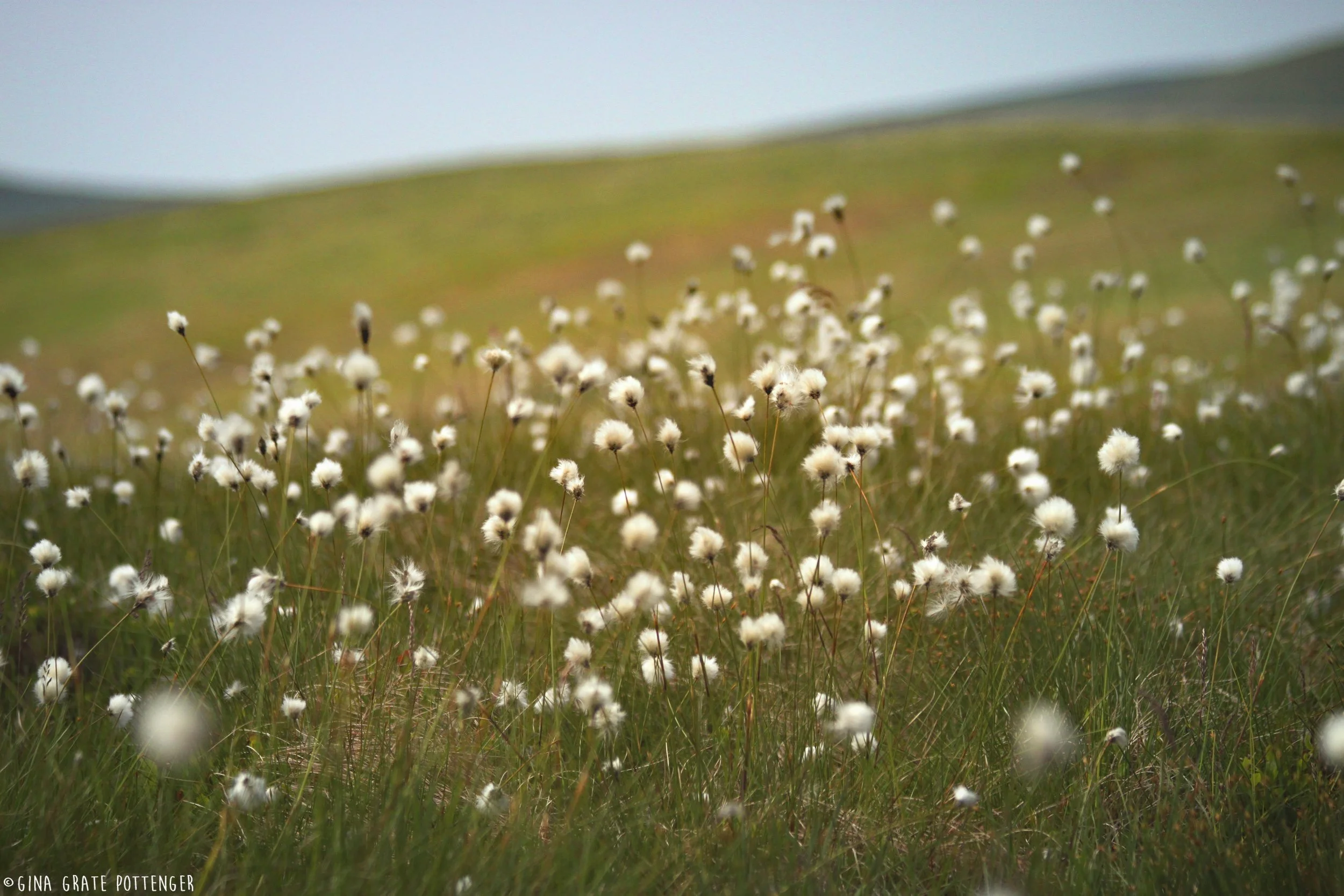 Cadair Idris 10 copyright.jpg