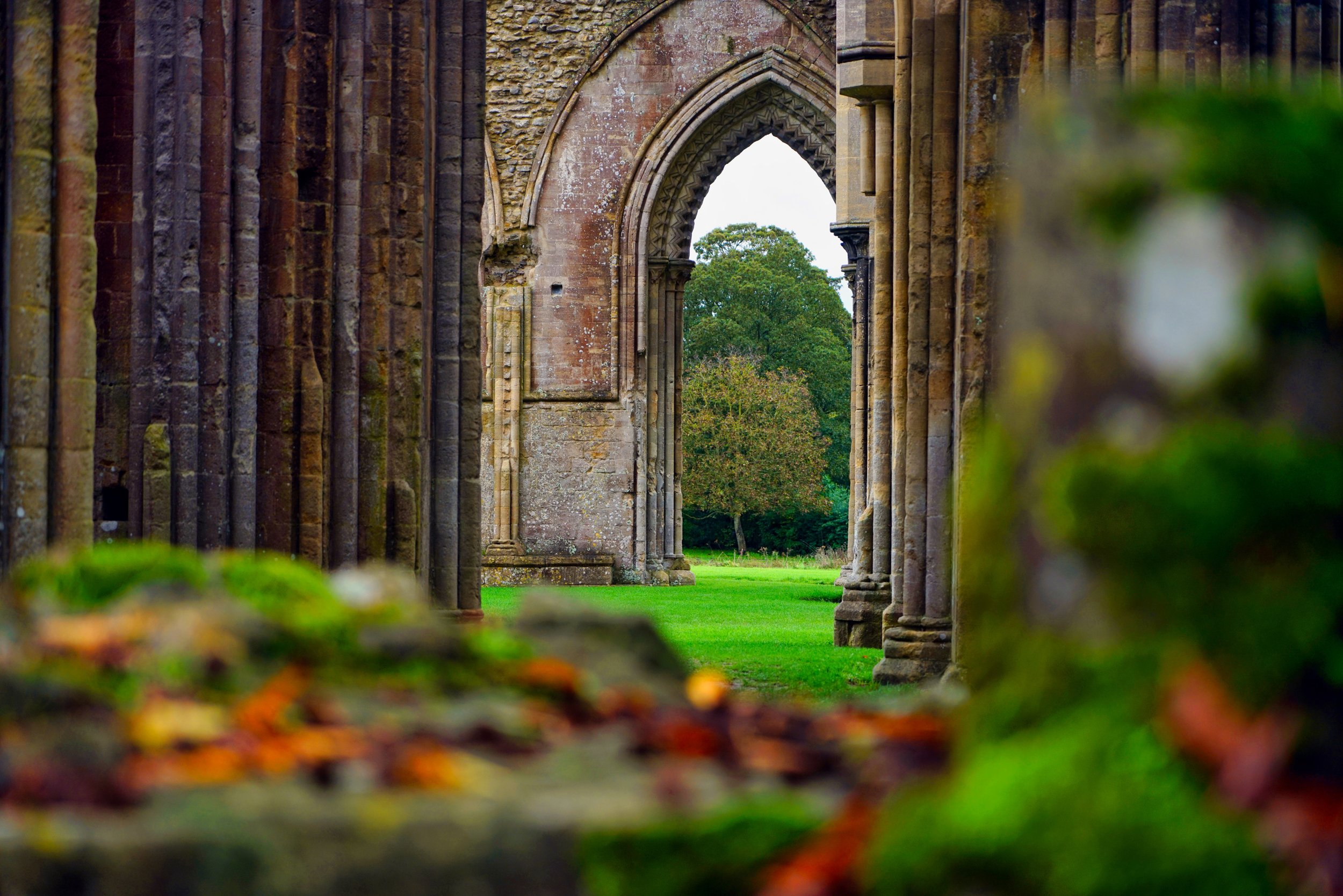 Glastonbury Abbey 13 website.jpg
