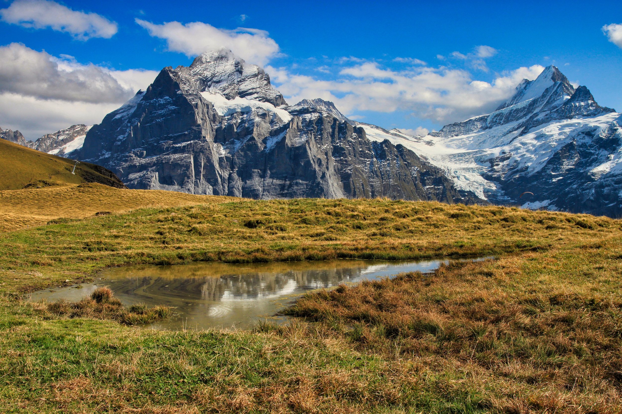 Bachalpsee 53 website.jpg