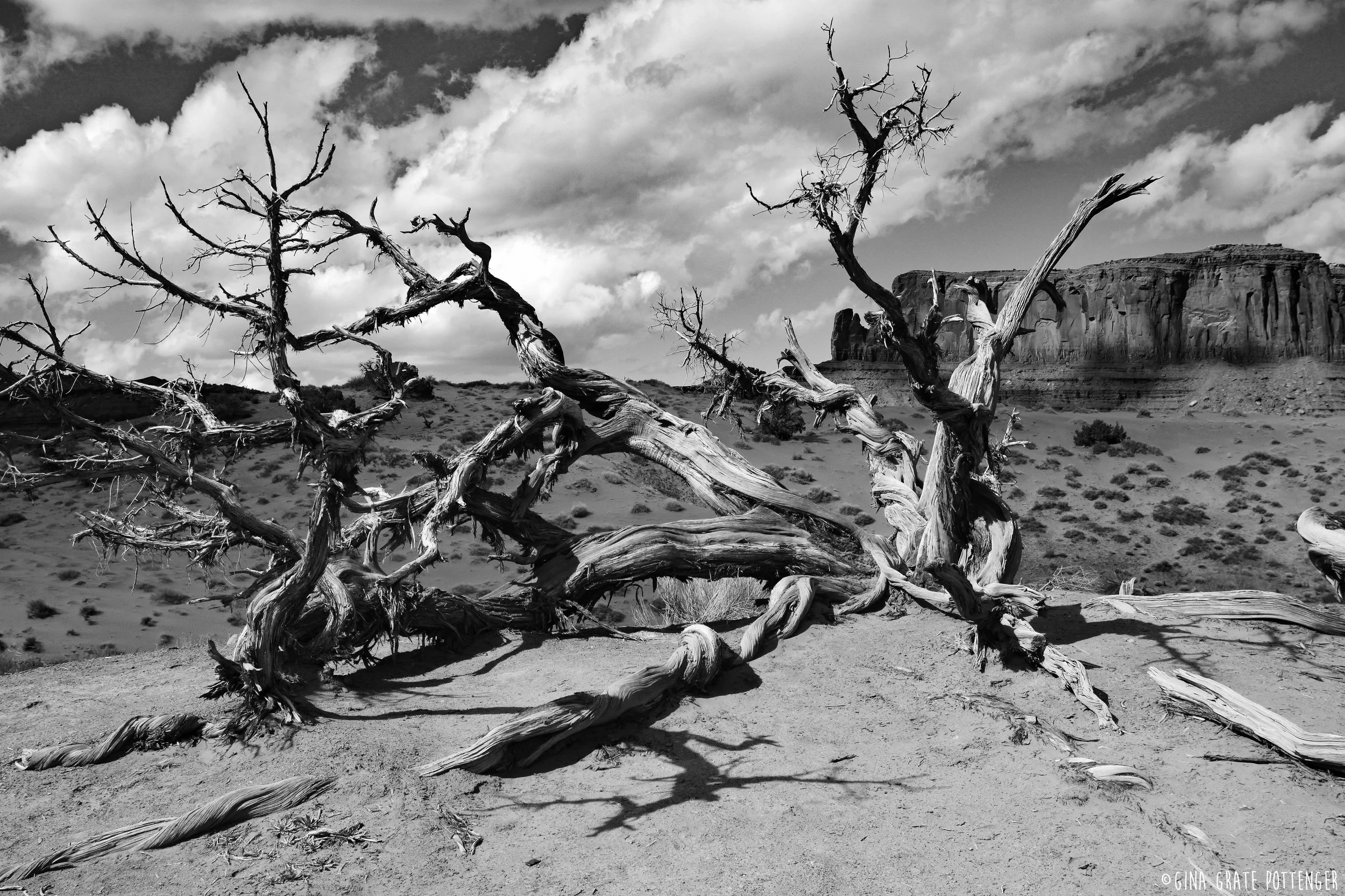 MV 64 copyright bw.jpg