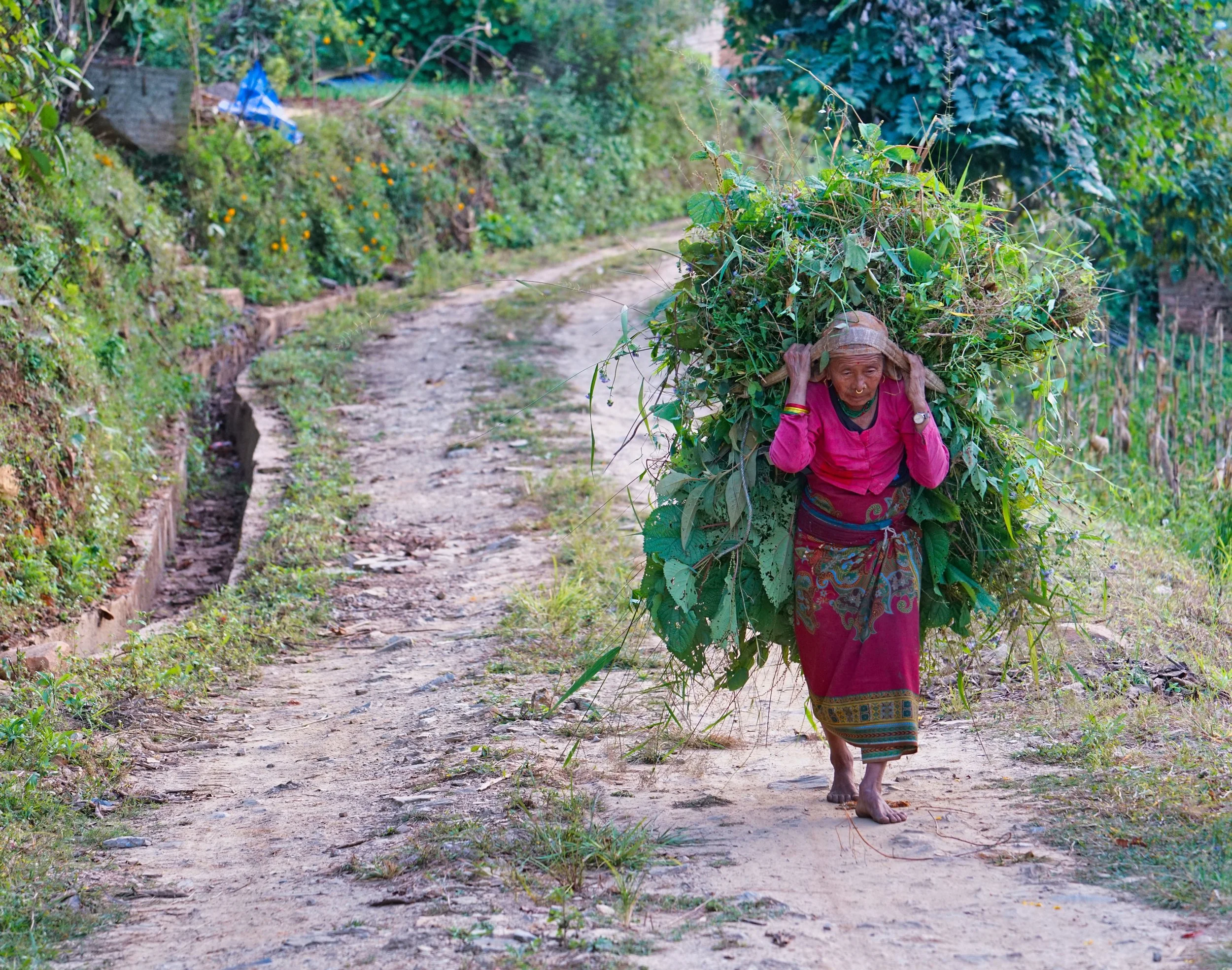 Old woman 3 cropped smaller.jpg