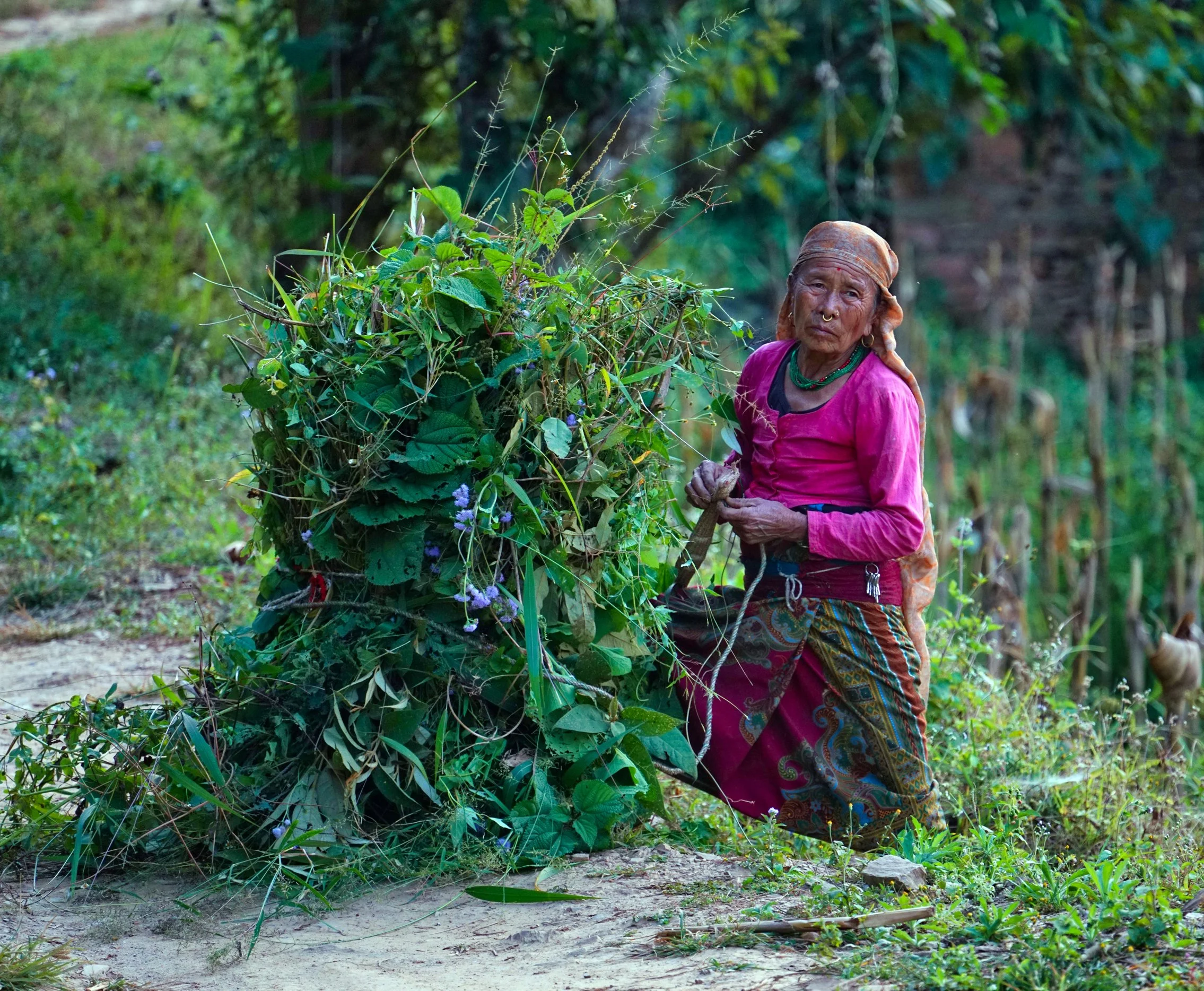 Old woman smaller cropped.jpg