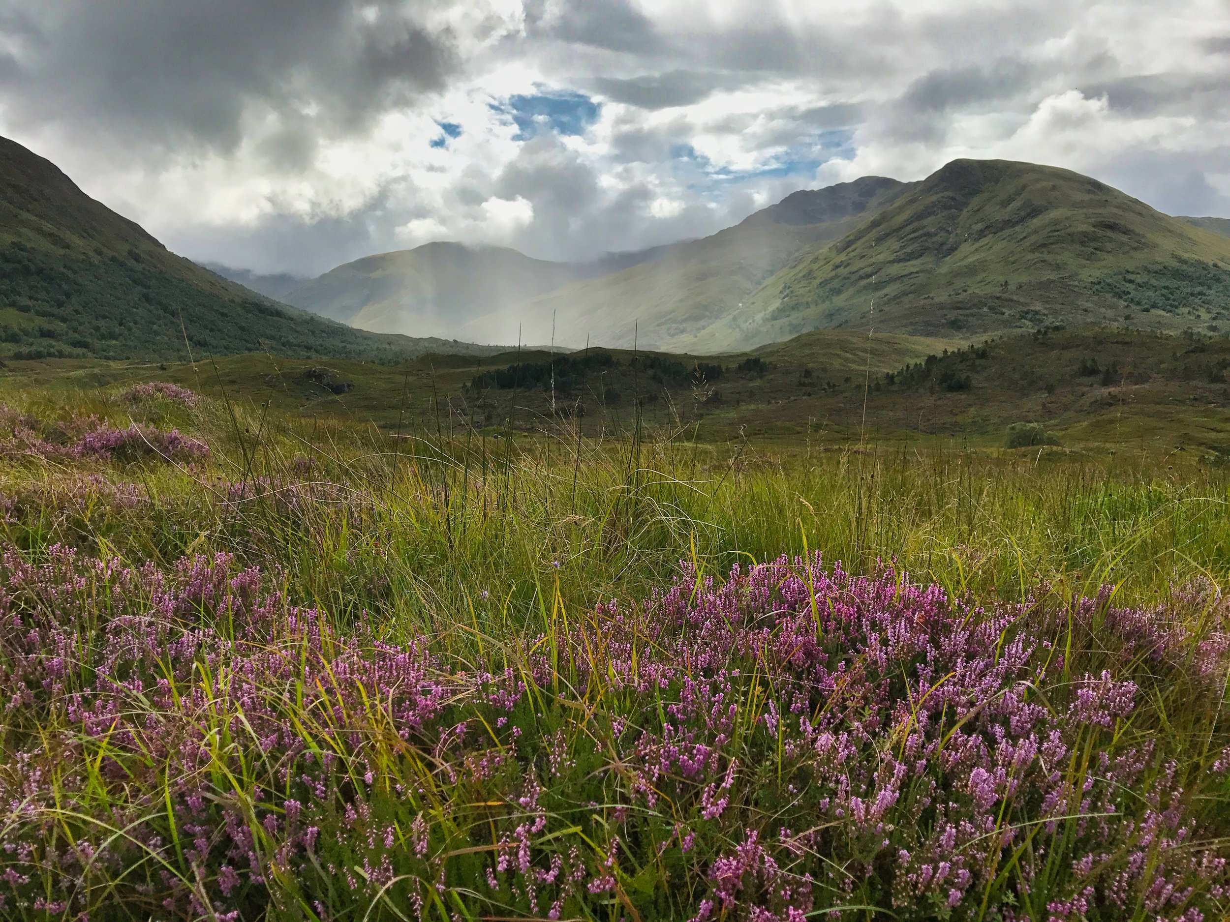 Affric hike 14 website.jpg