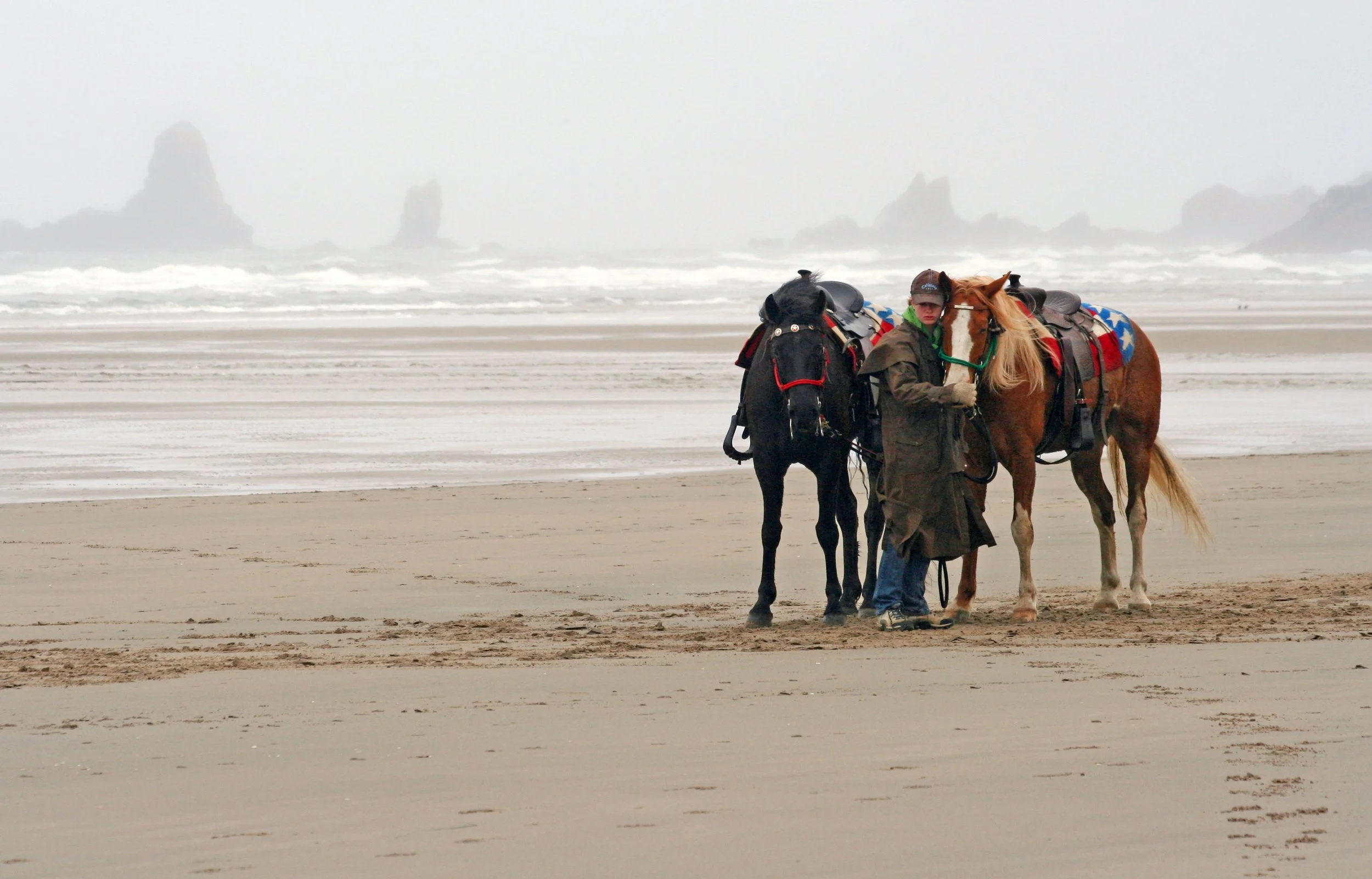 horses on beach 1 web.jpg