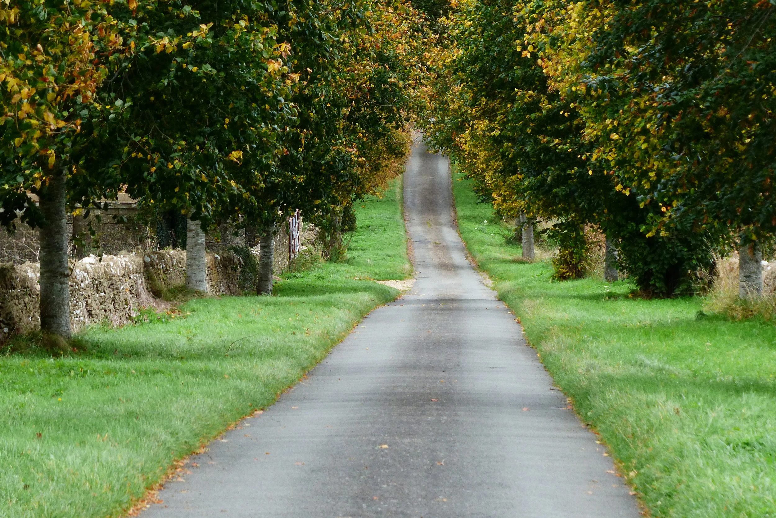 Cotswolds 4 smaller.jpg