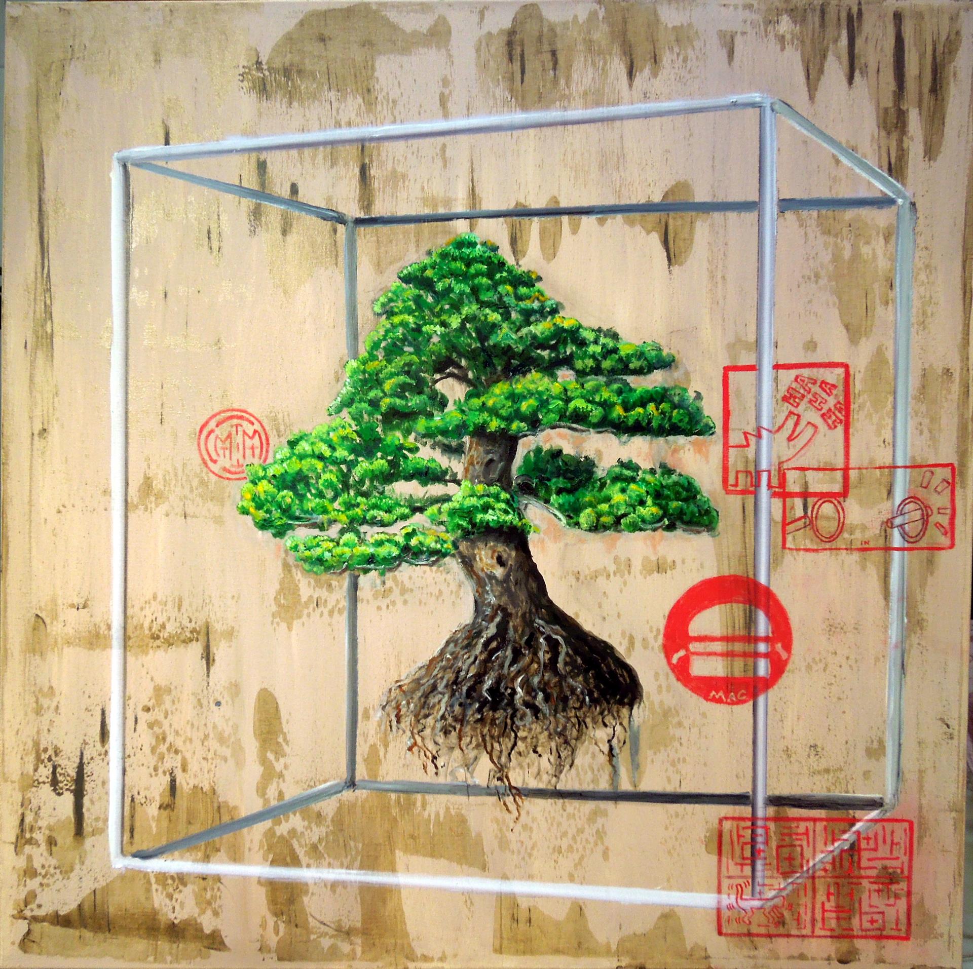 21969-bonsai-32620181522-36008.jpg