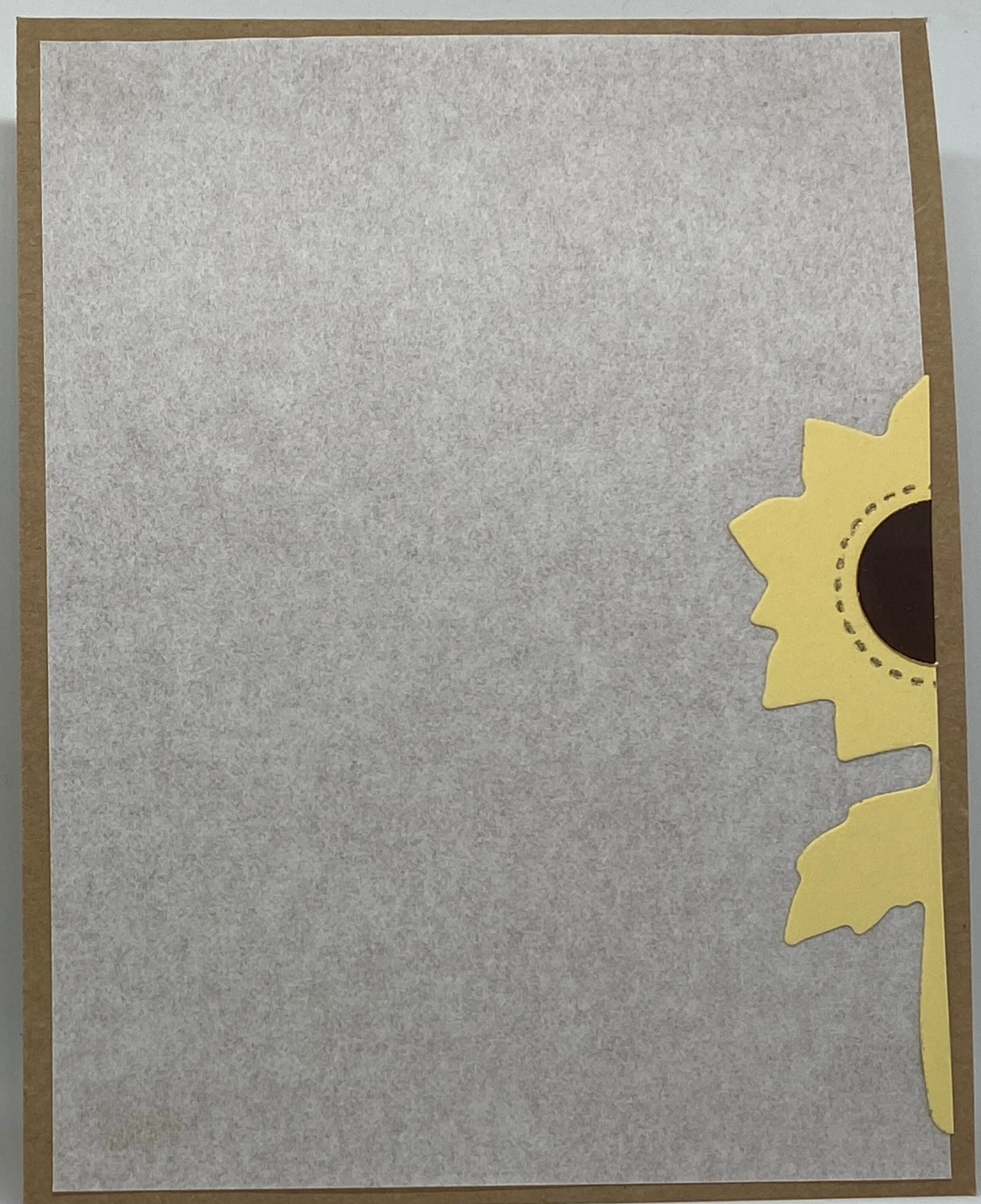 sunflower coral inside.JPG