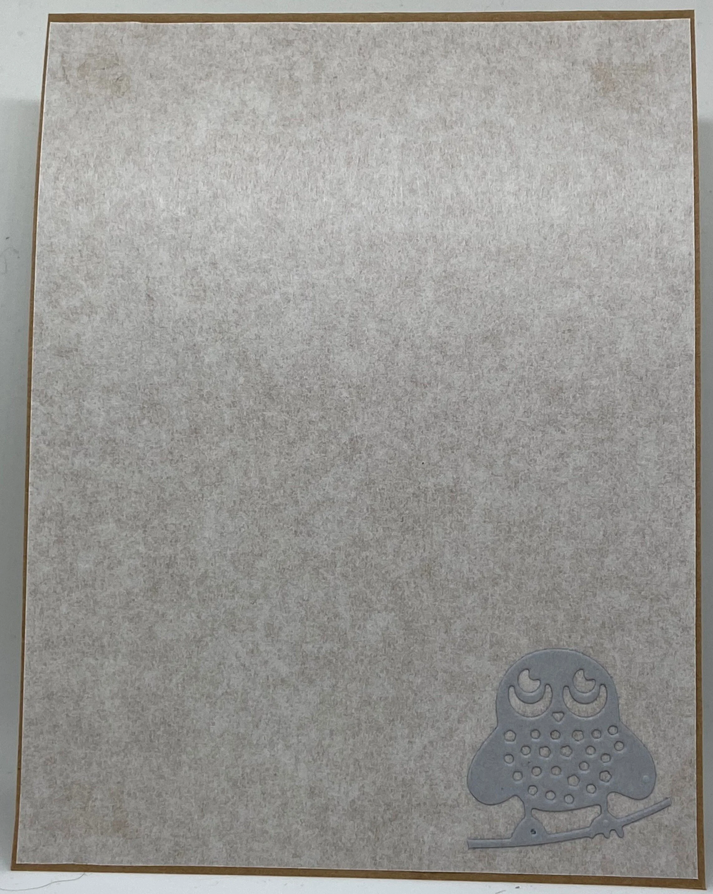 hey you owl inside.JPG