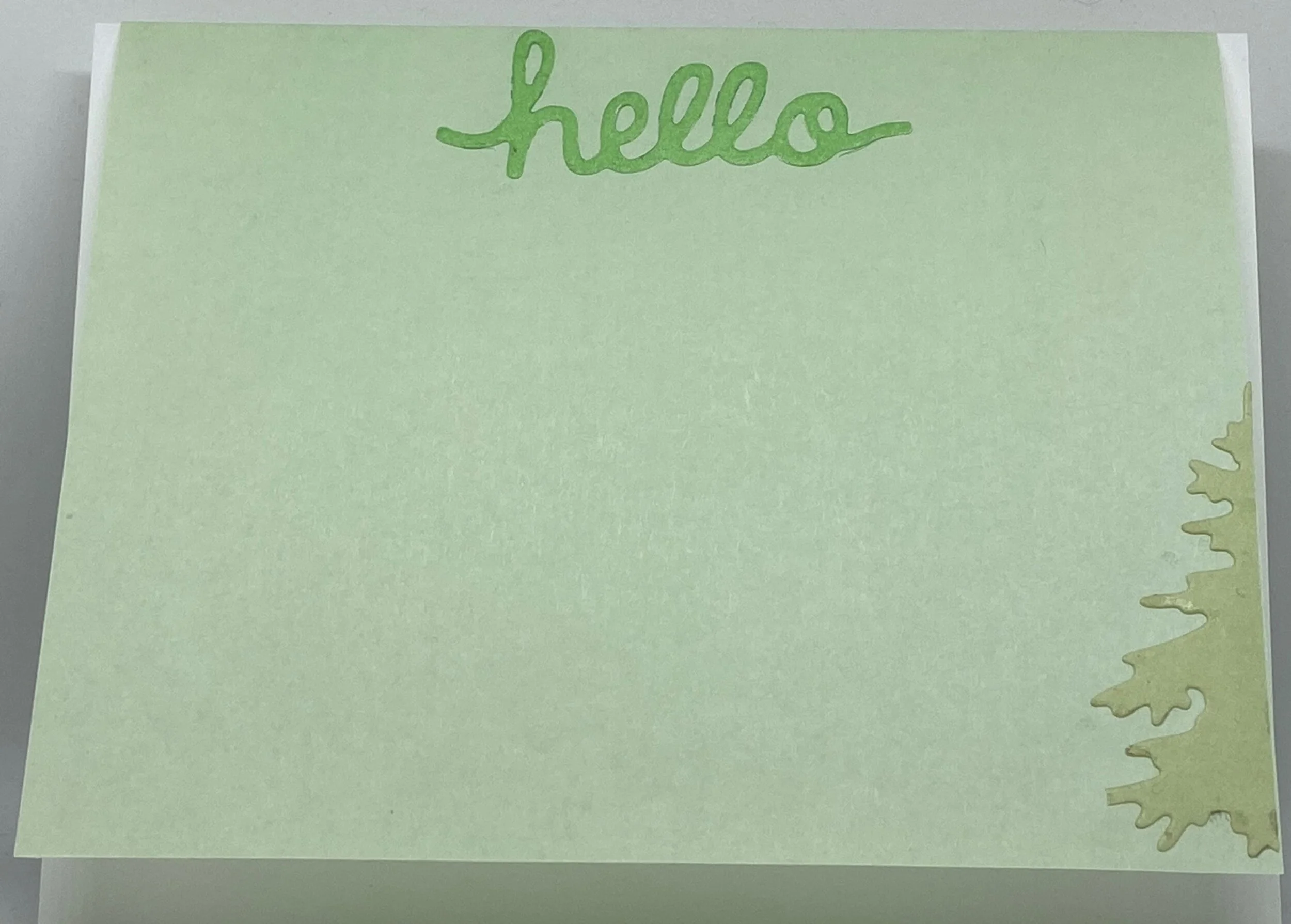 let's go camping green inside.JPG