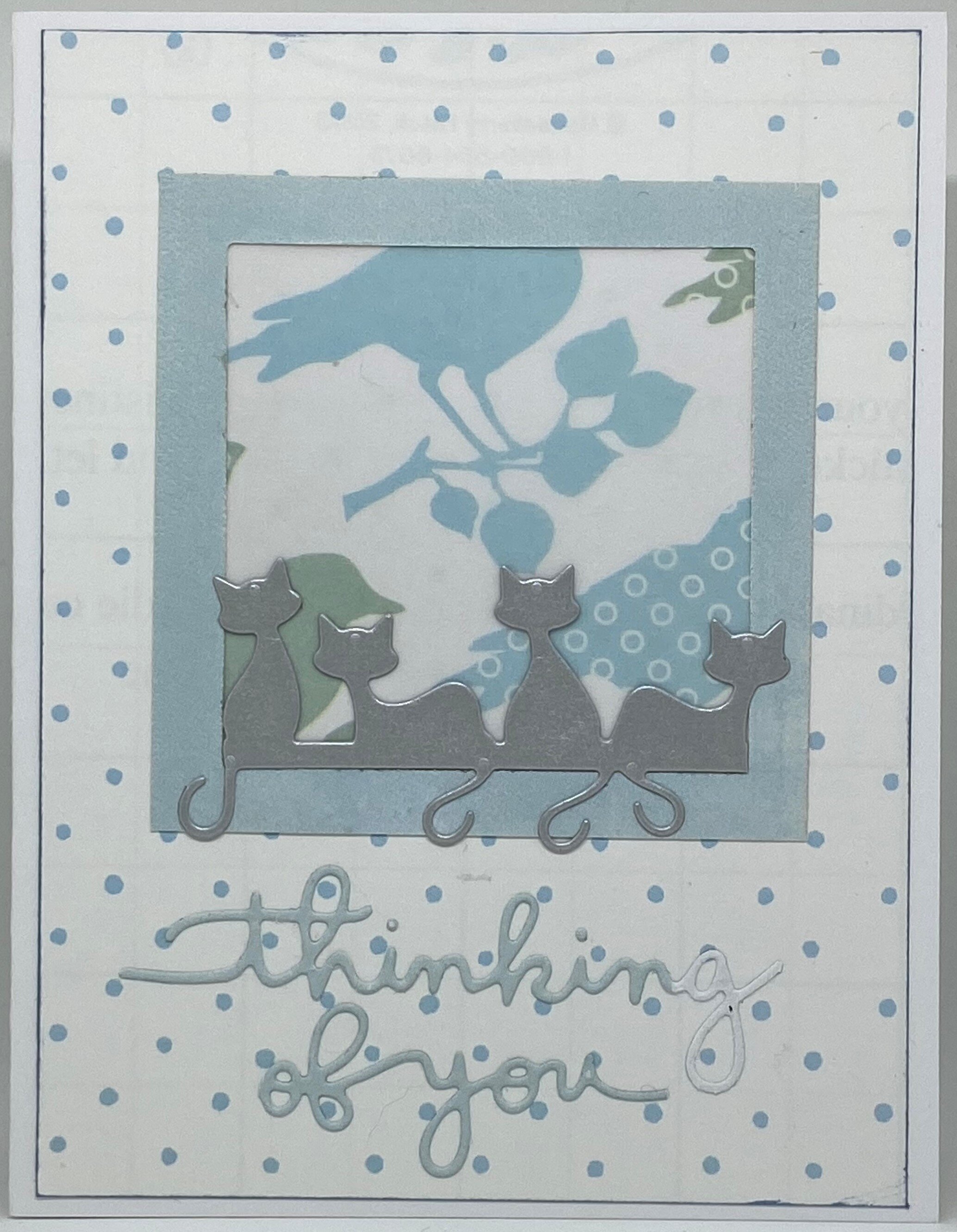 Kitties Thinking of You