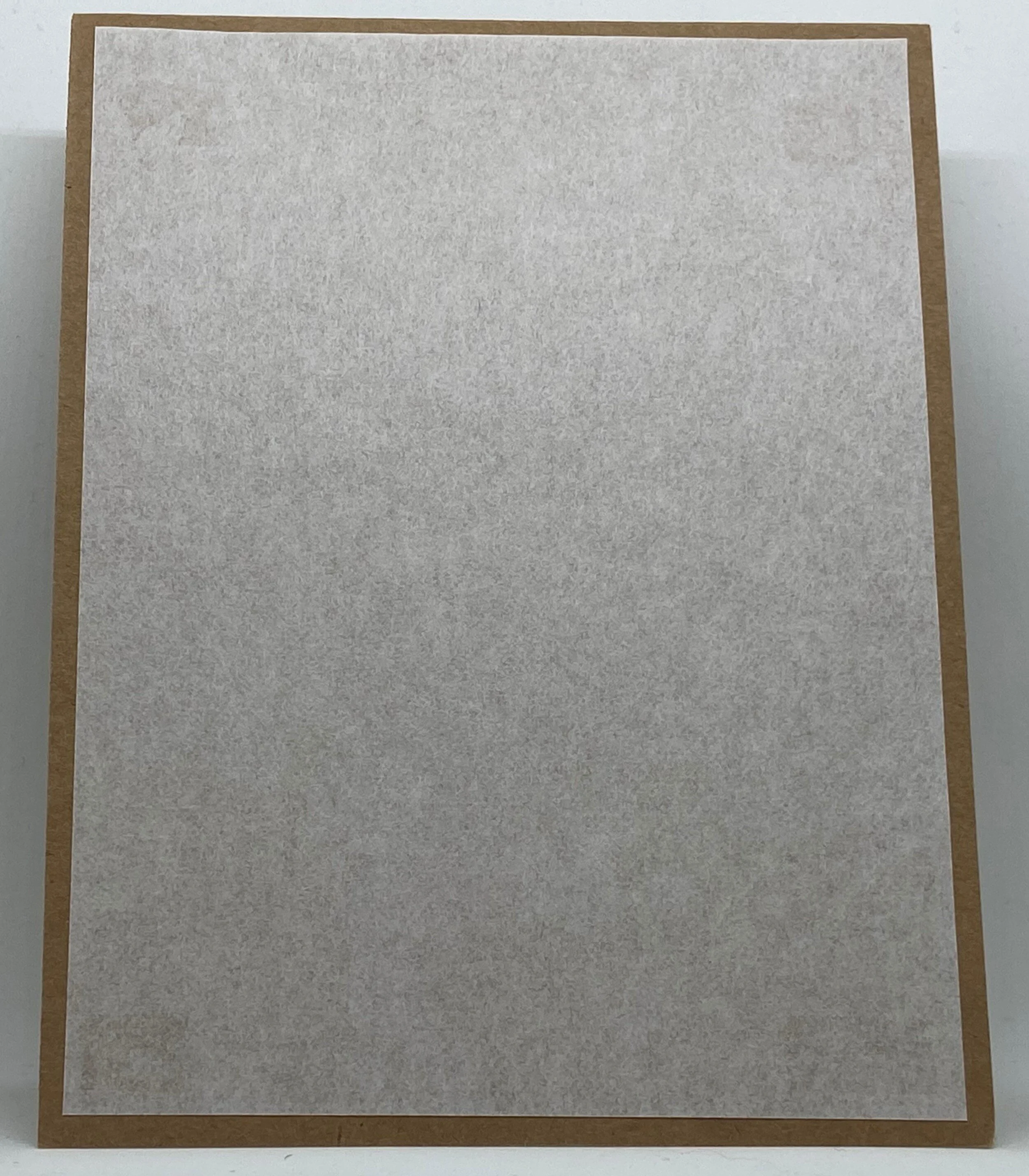 sunflower green checks blank inside.JPG