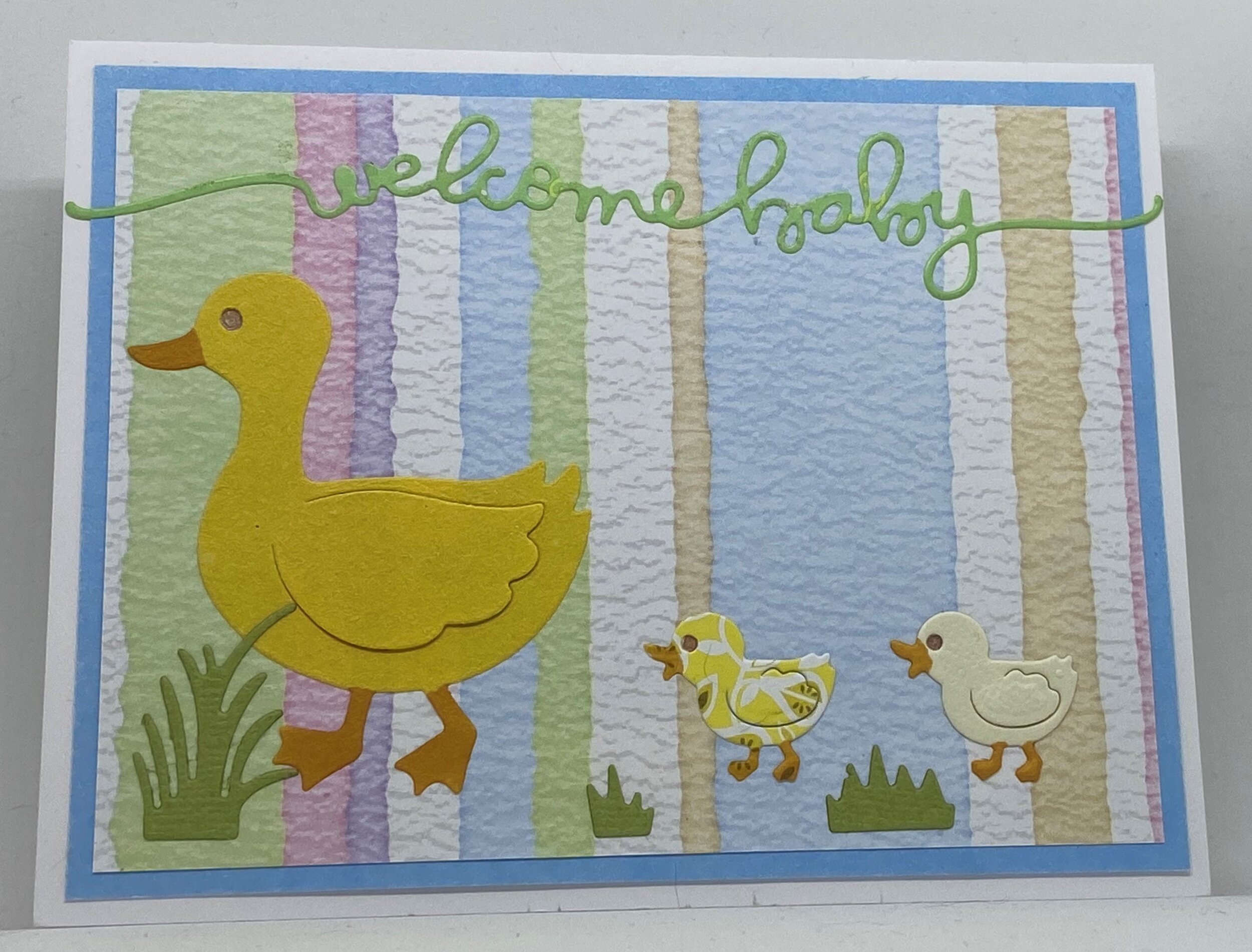 Duck Parade Stripes Baby