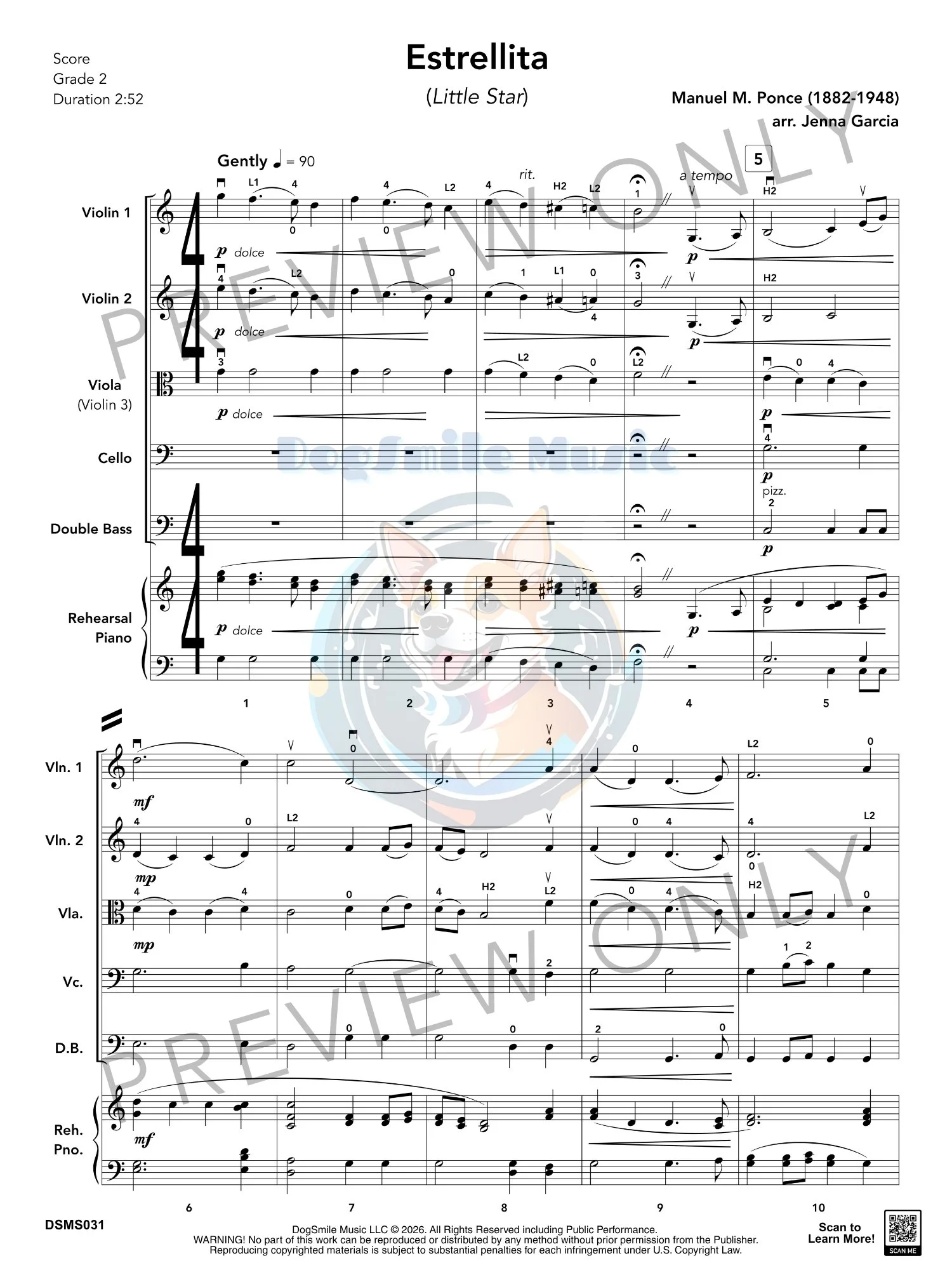 DSM031_Estrellita_4.jpg