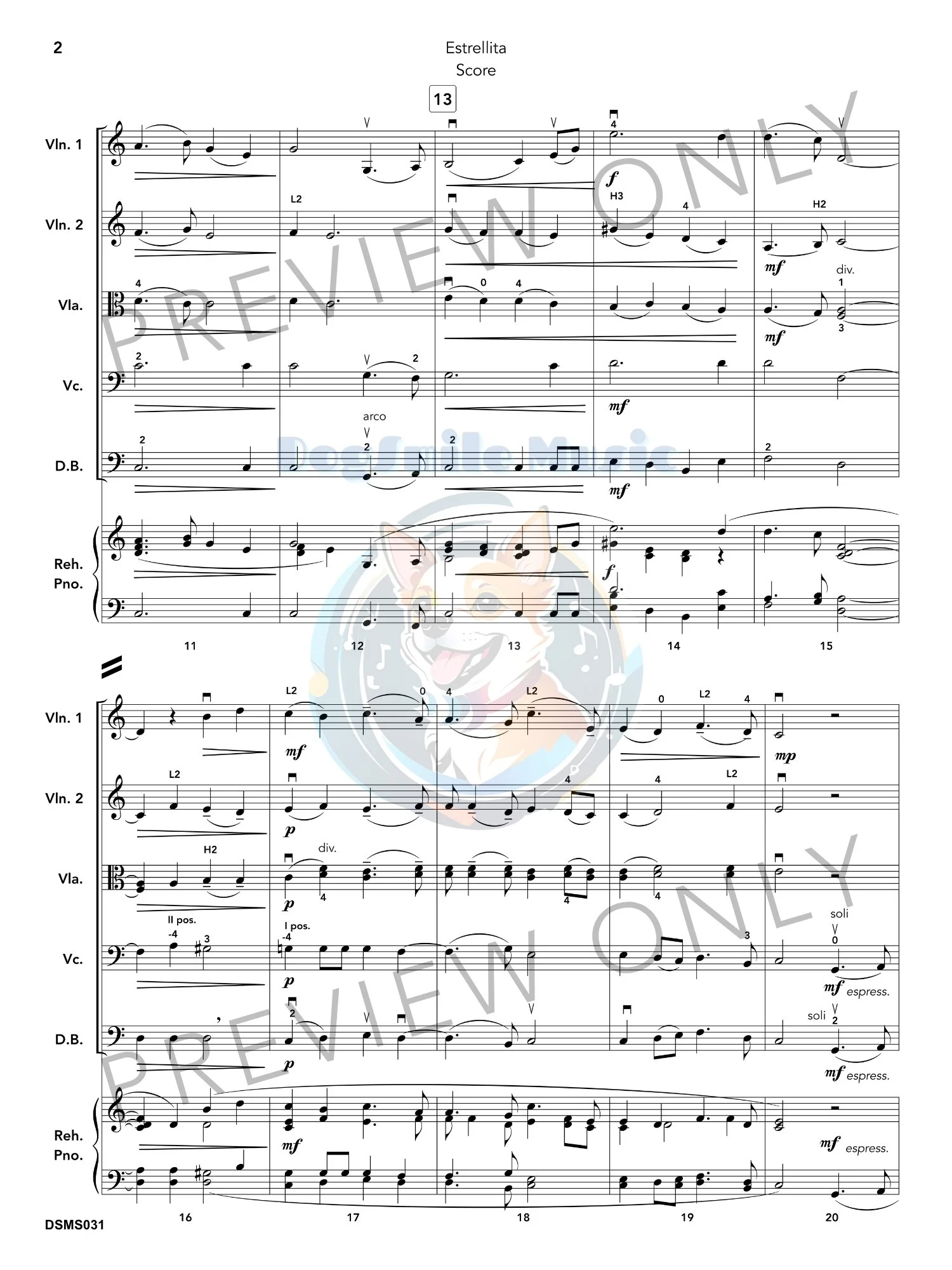DSM031_Estrellita_5.jpg