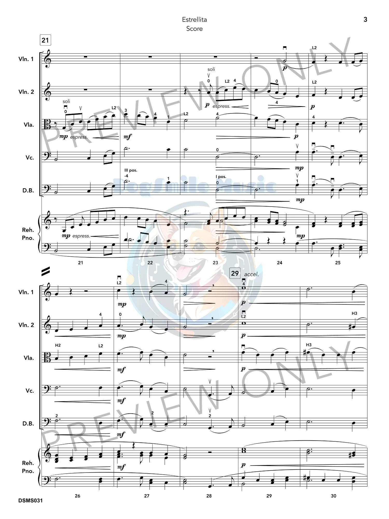 DSM031_Estrellita_6.jpg