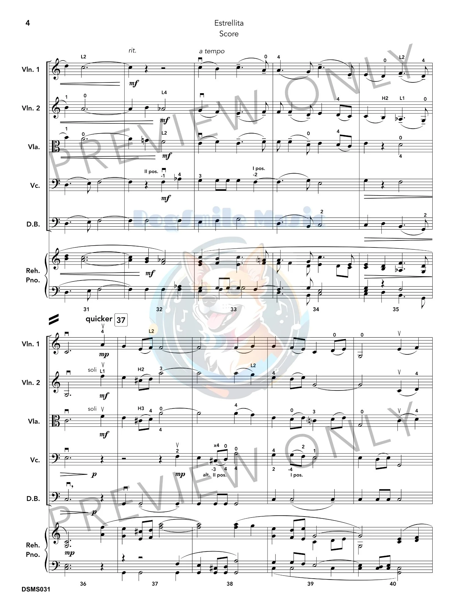 DSM031_Estrellita_7.jpg