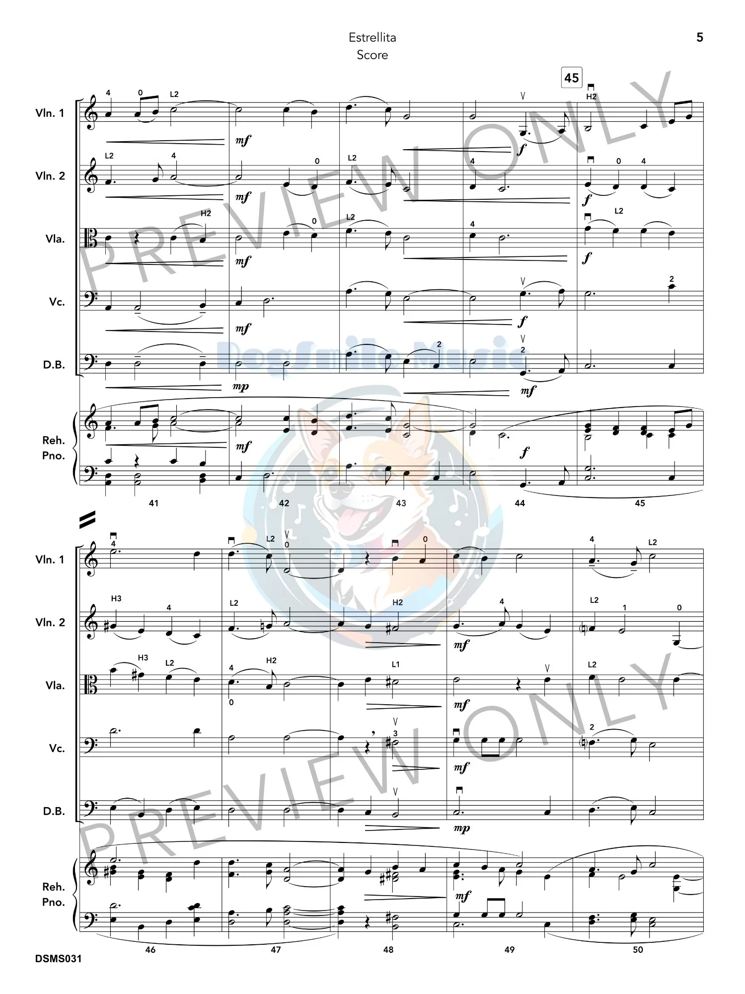 DSM031_Estrellita_8.jpg