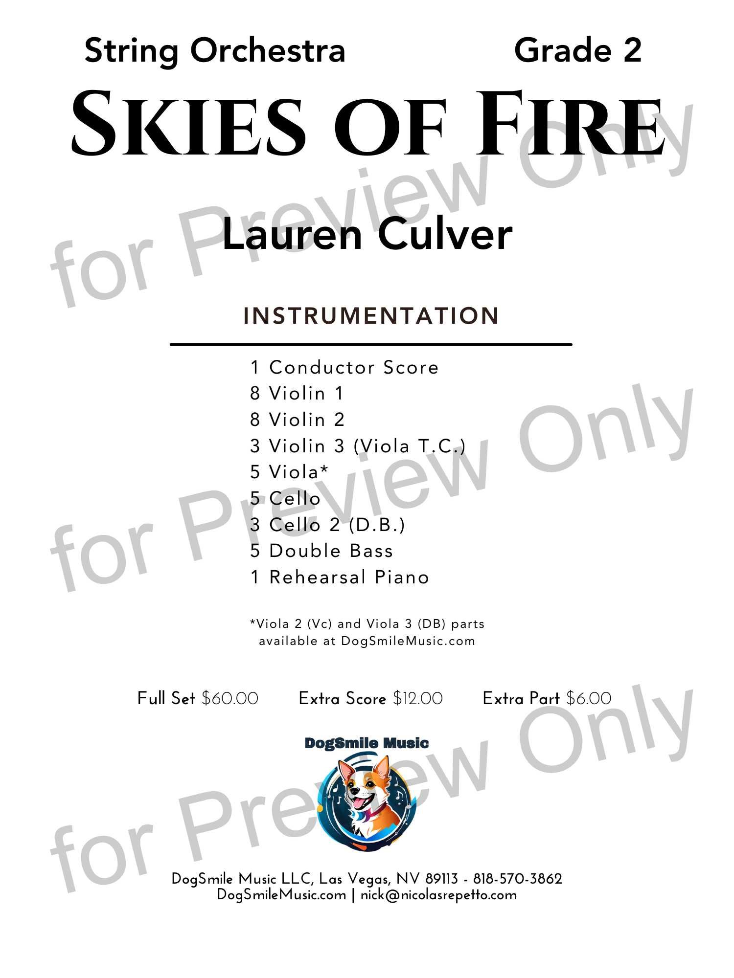 DSM032_Skies of Fire_2.jpg
