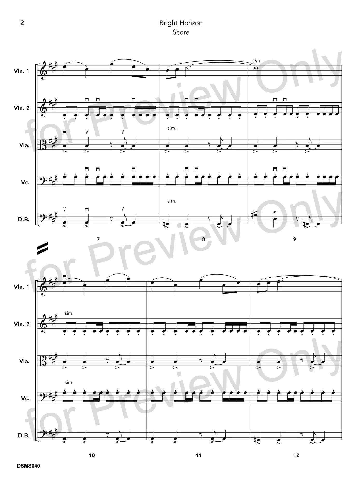 DSMS040_Bright Horizon_5.jpg