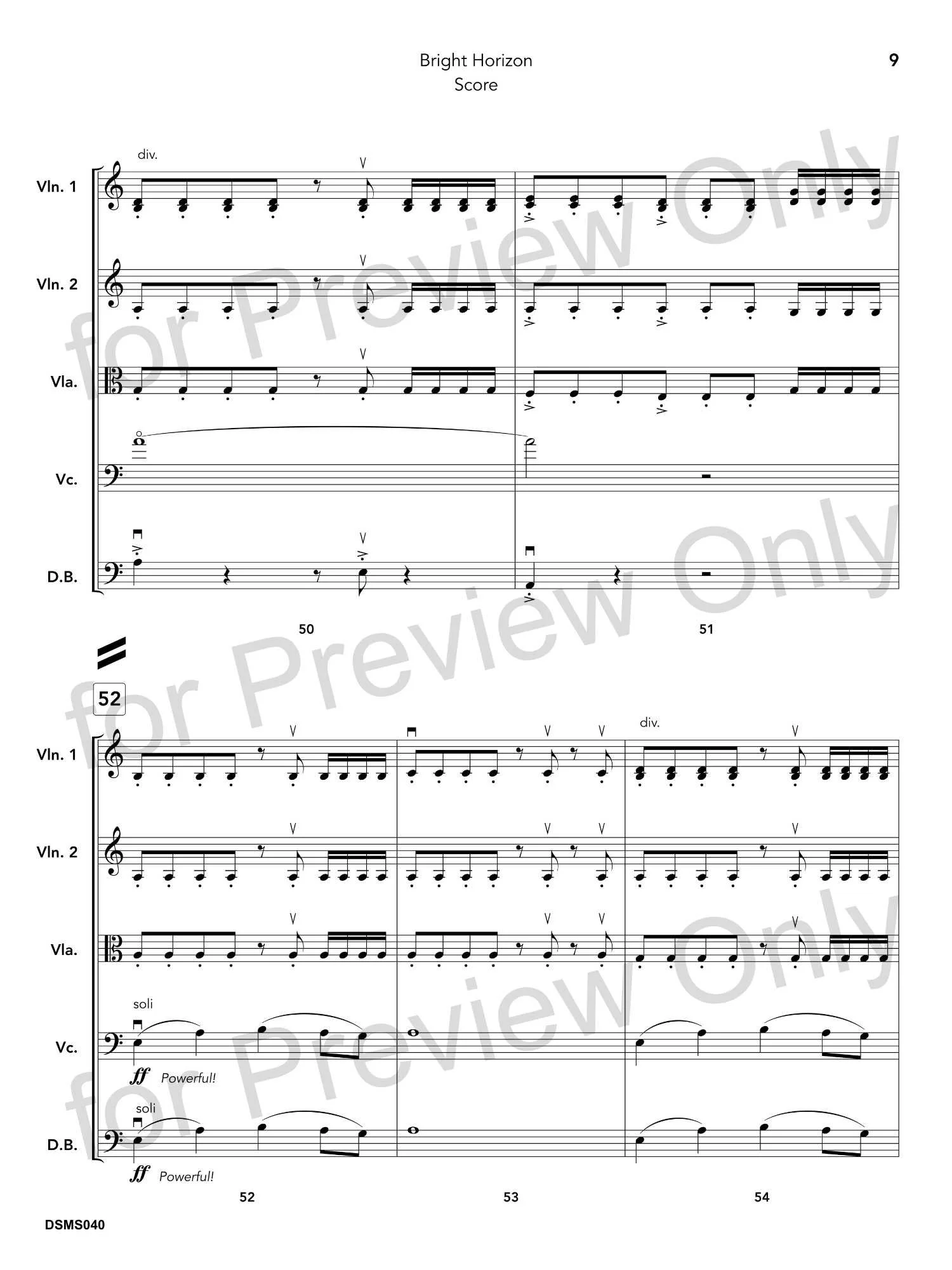 DSMS040_Bright Horizon_12.jpg