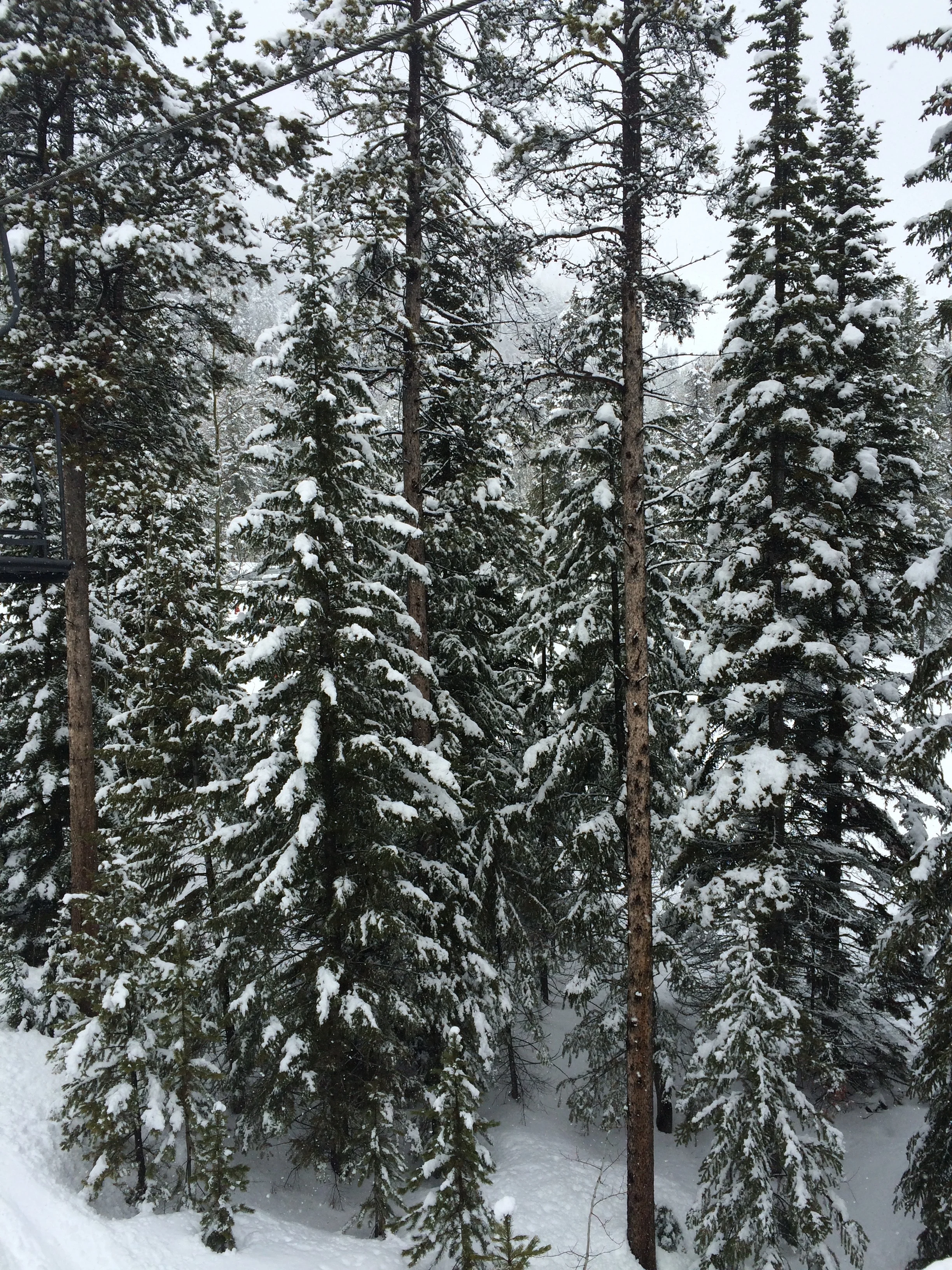 Mammoth Lakes, 2016