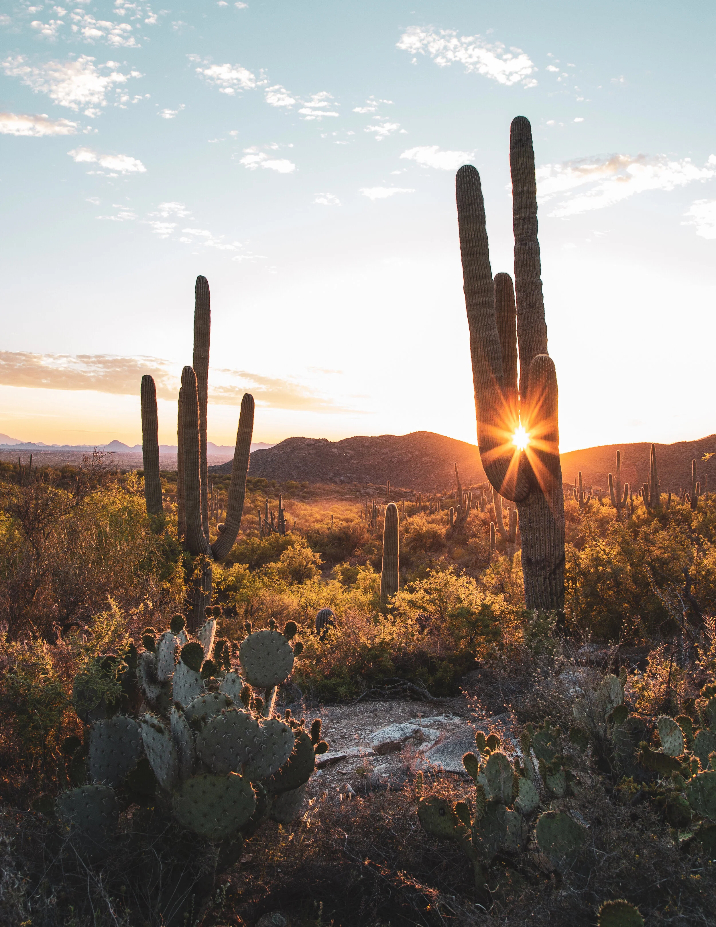 4943B101-CF97-483B-8C66-3376423A2CB6