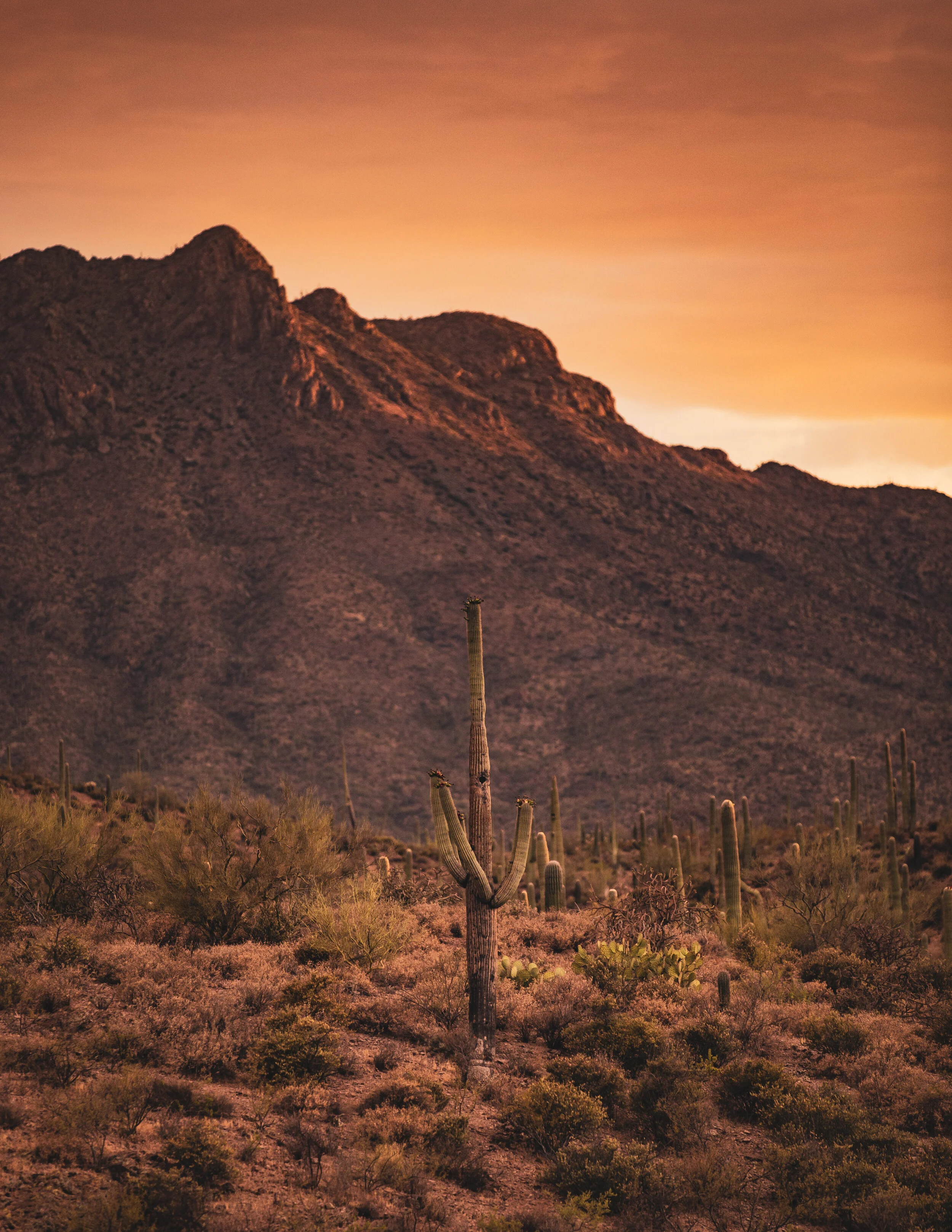 73AEC229-333B-4812-A7D5-000B8ABC1877