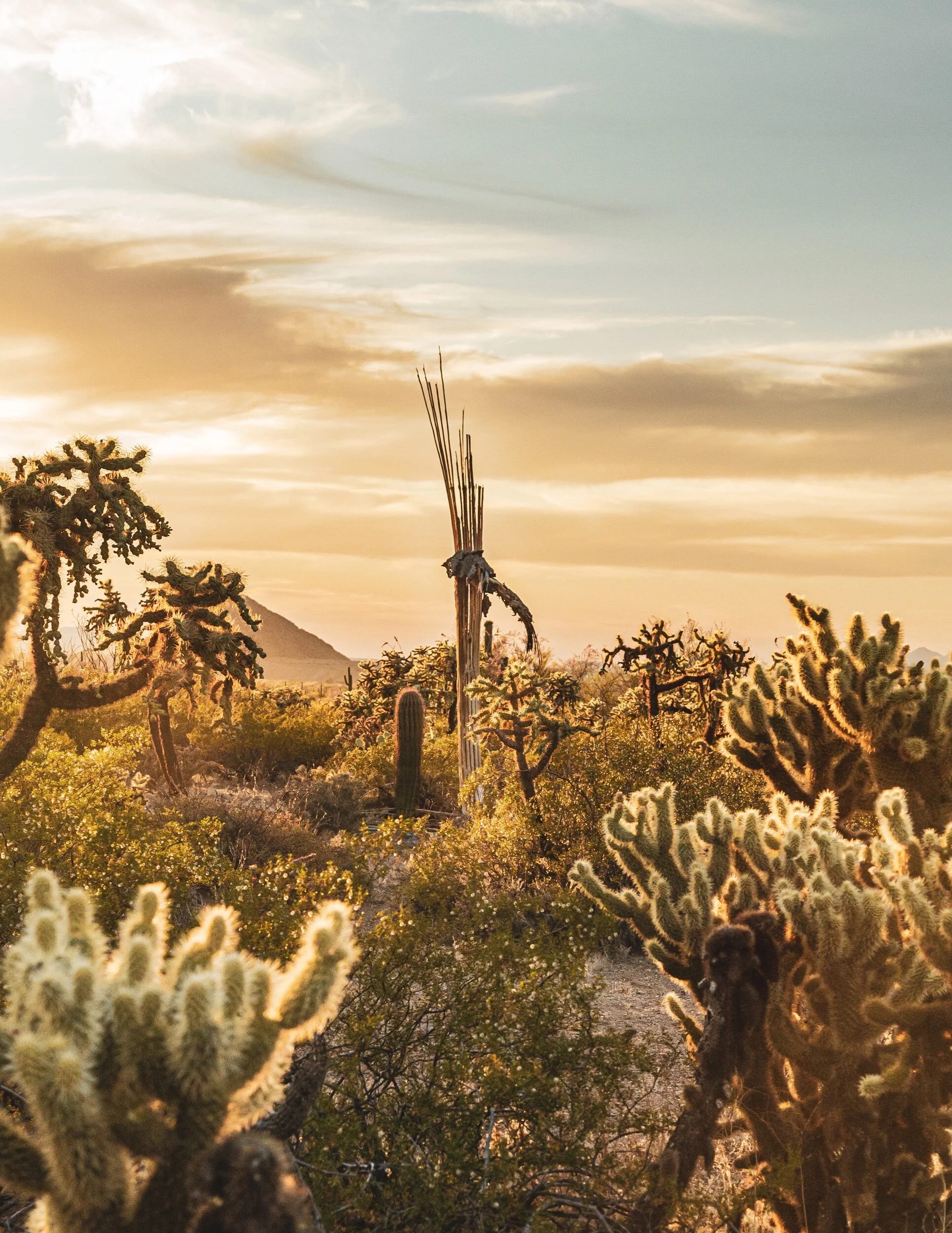 DED114B3-D900-4F1A-BC35-2D73ED0457BA