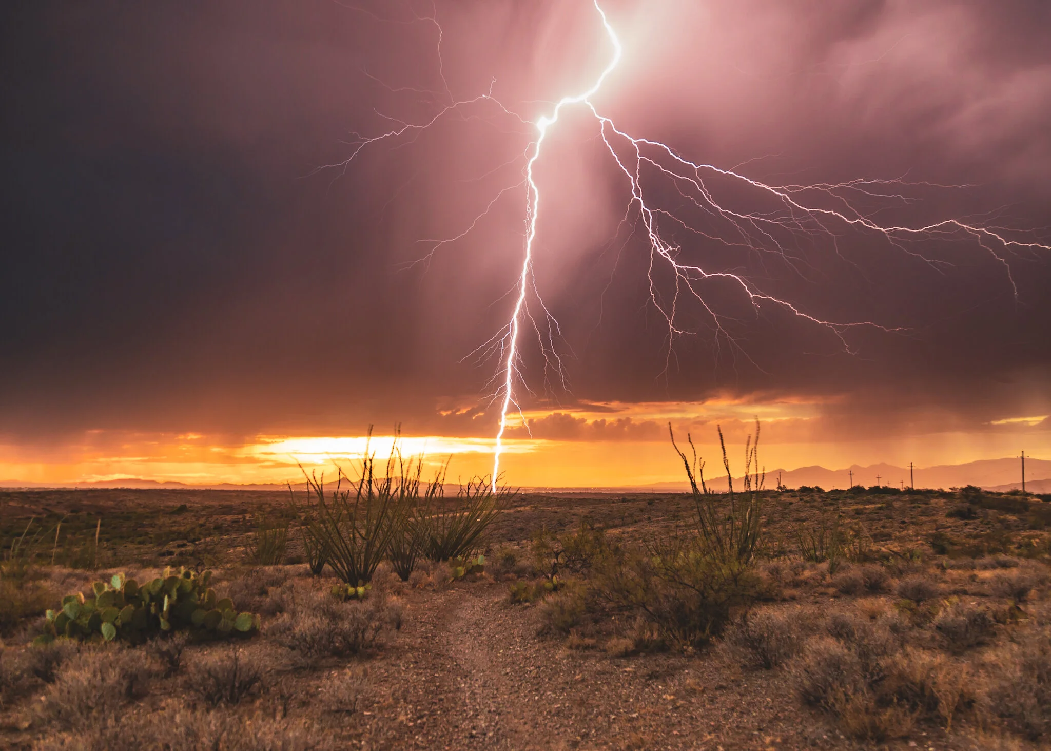 83F86A02-F743-4471-BDB2-61ACED0C866D