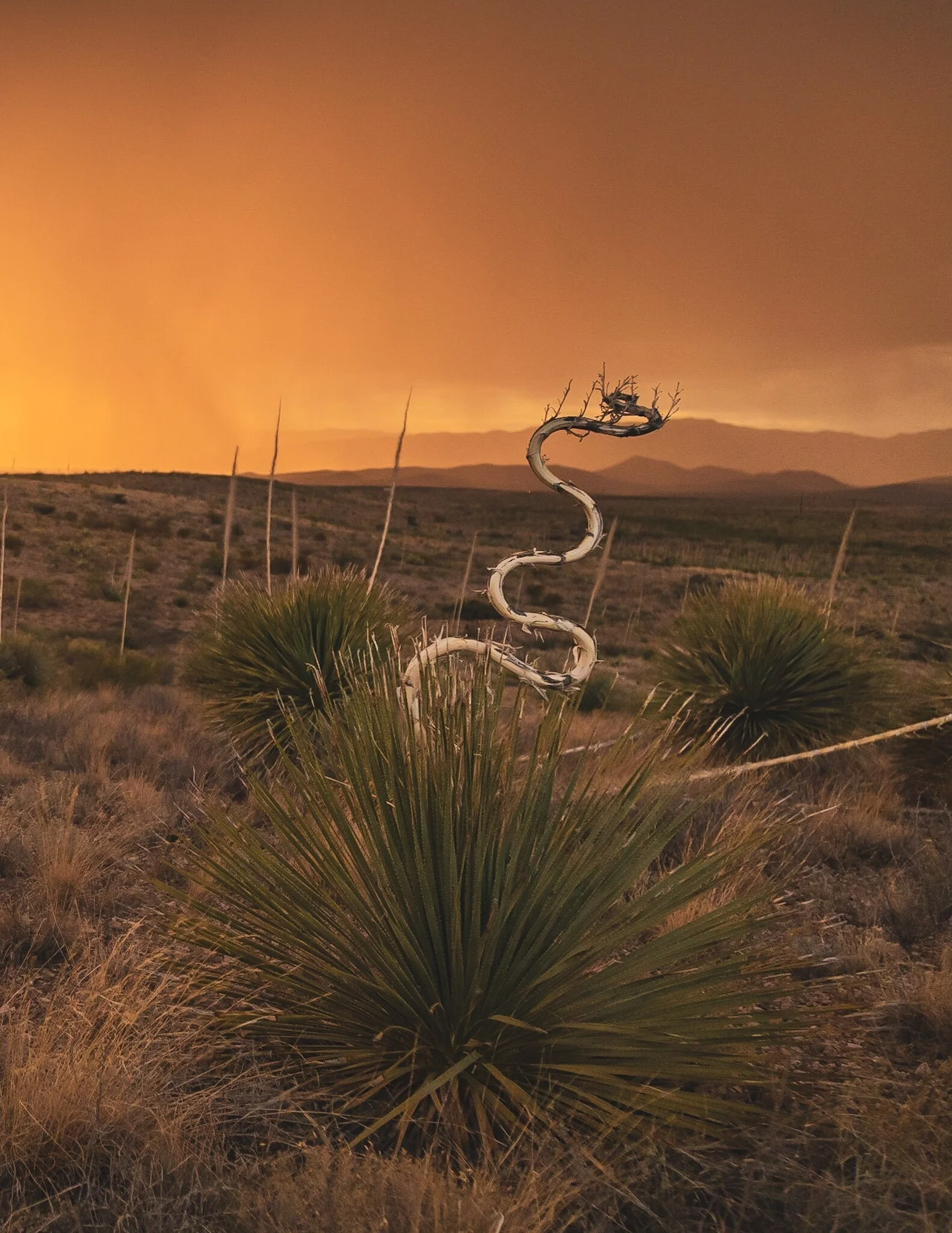 272FDBC6-E2D3-45AA-ACB6-D2487EAC3B9B