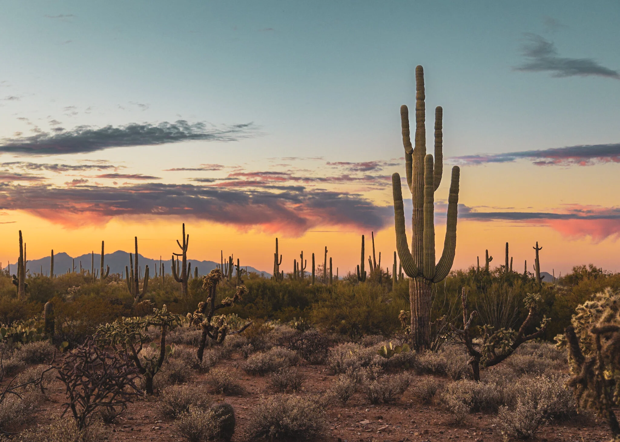 F85798BE-5088-449A-B565-9DBEC3909E91