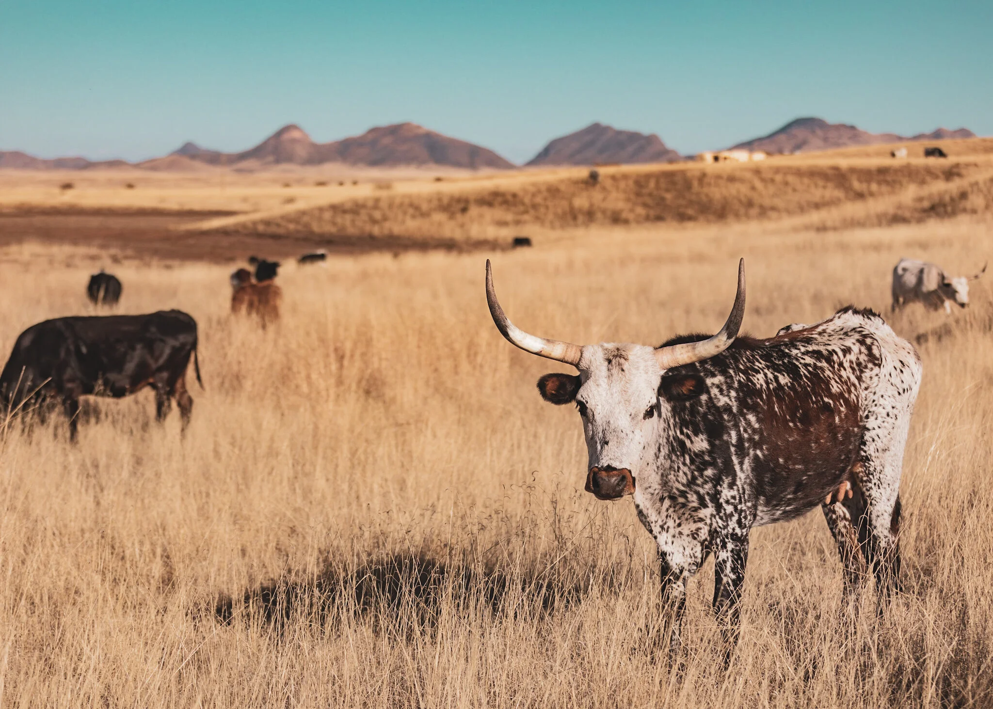 B78A1F3A-1D73-42BF-970D-5F8739C1579B