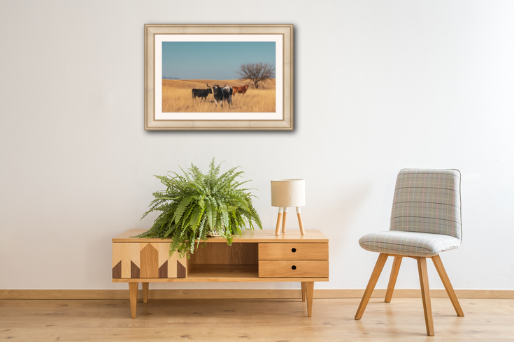 4B2B62D3-F8C2-43B4-9C59-A16811CA808D